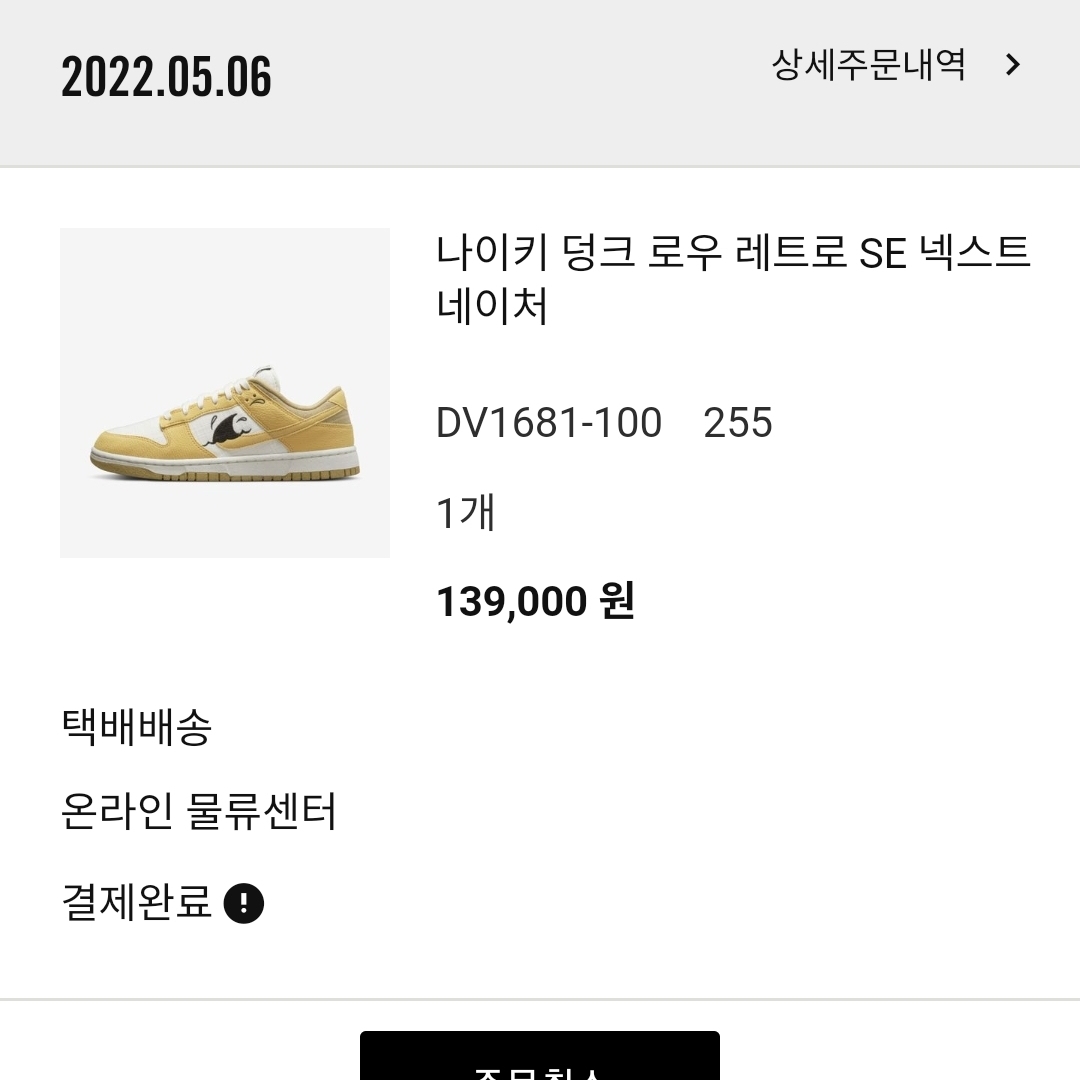Nike Dunk Low Retro SE Next Nature Nike Sun Club 착용 스타일