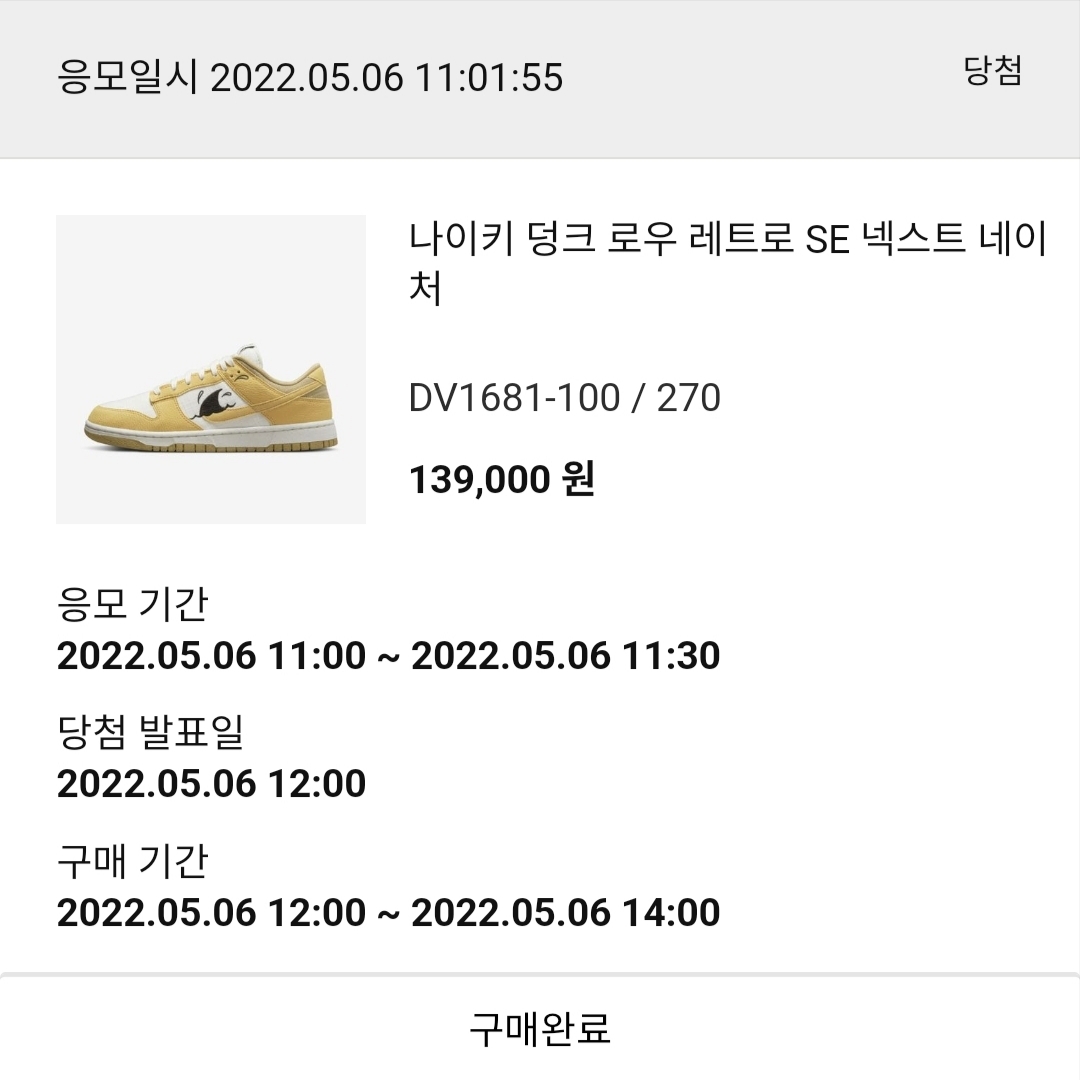 Nike Dunk Low Retro SE Next Nature Nike Sun Club 착용 스타일