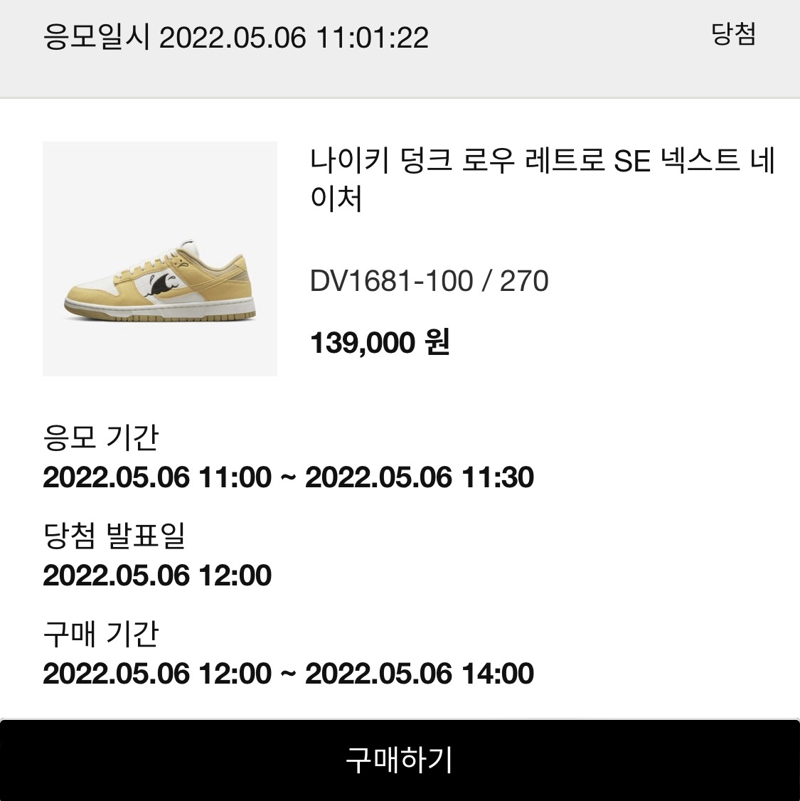 Nike Dunk Low Retro SE Next Nature Nike Sun Club 착용 스타일