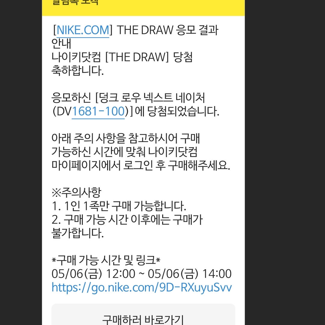 Nike Dunk Low Retro SE Next Nature Nike Sun Club 착용 스타일
