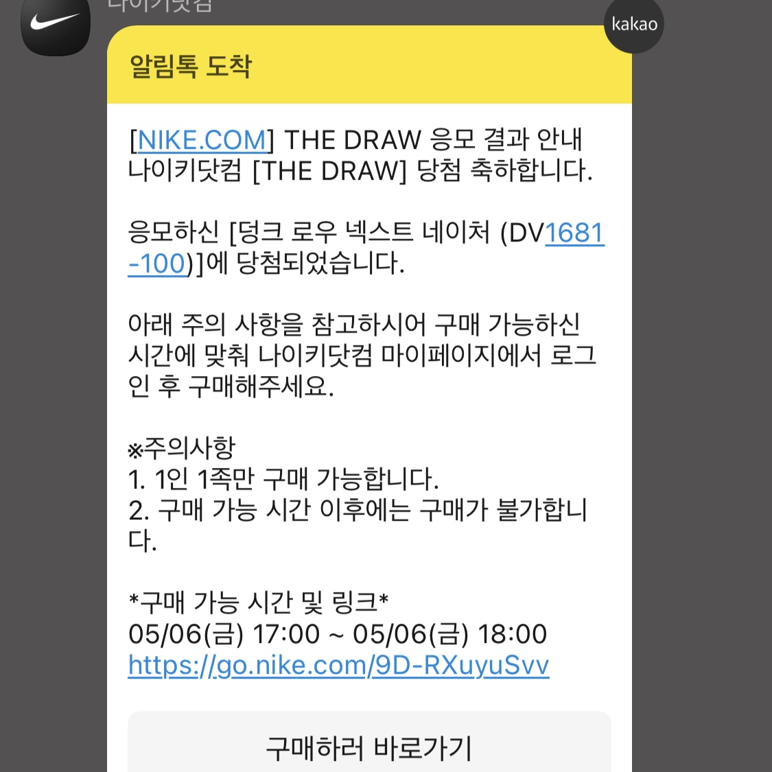 Nike Dunk Low Retro SE Next Nature Nike Sun Club 착용 스타일