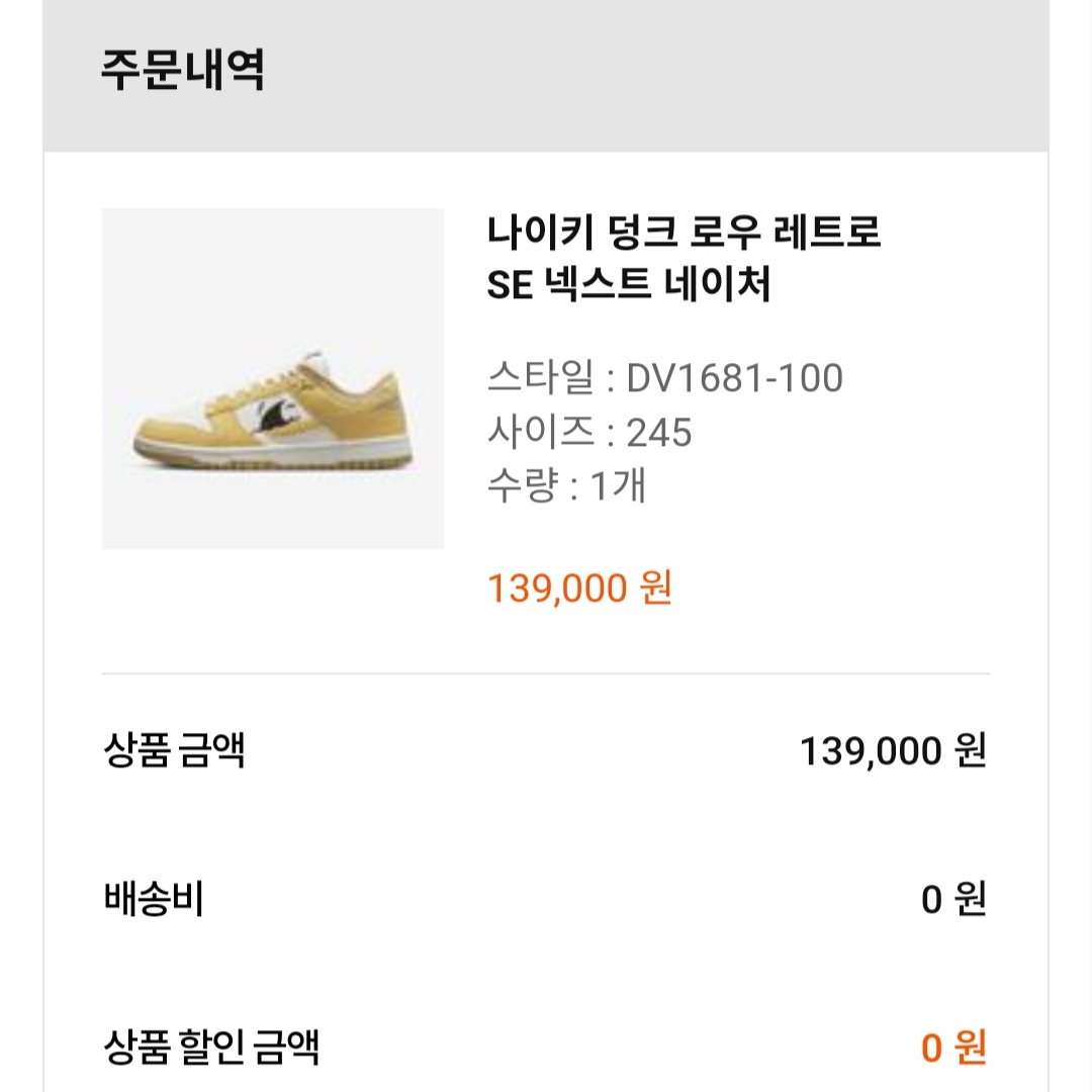 Nike Dunk Low Retro SE Next Nature Nike Sun Club 착용 스타일