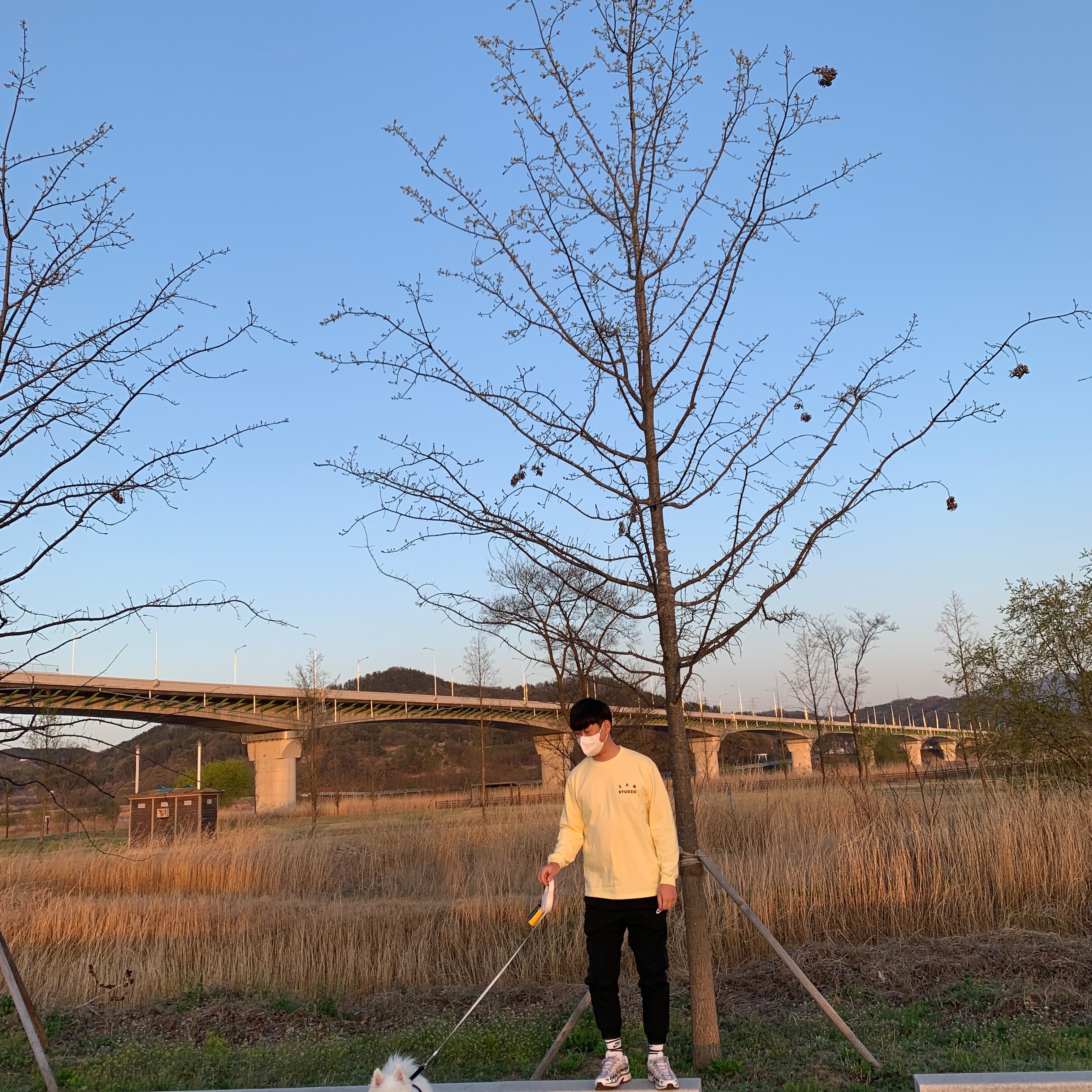 (W) Nike P-6000 Metallic Silver Red, IAB Studio Long Sleeve Lemon 착용 스타일