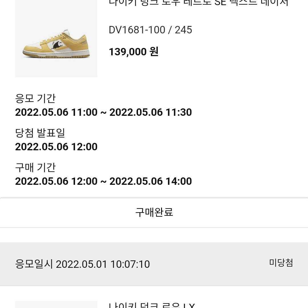 Nike Dunk Low Retro SE Next Nature Nike Sun Club 착용 스타일