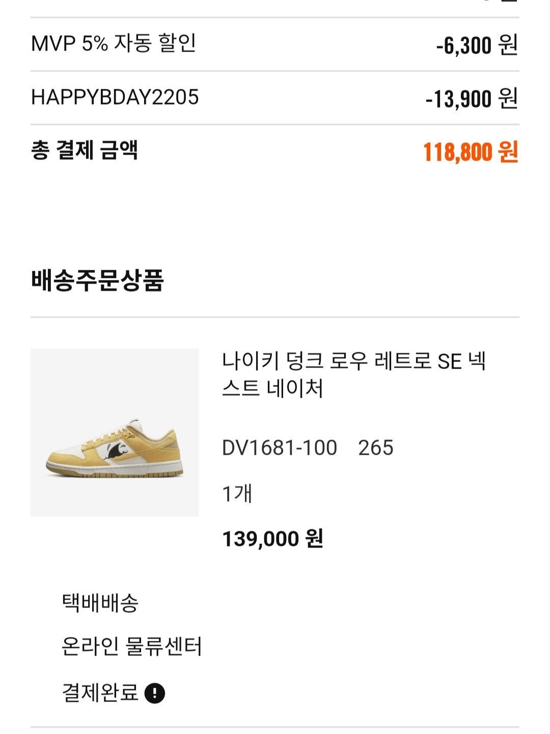 Nike Dunk Low Retro SE Next Nature Nike Sun Club 착용 스타일