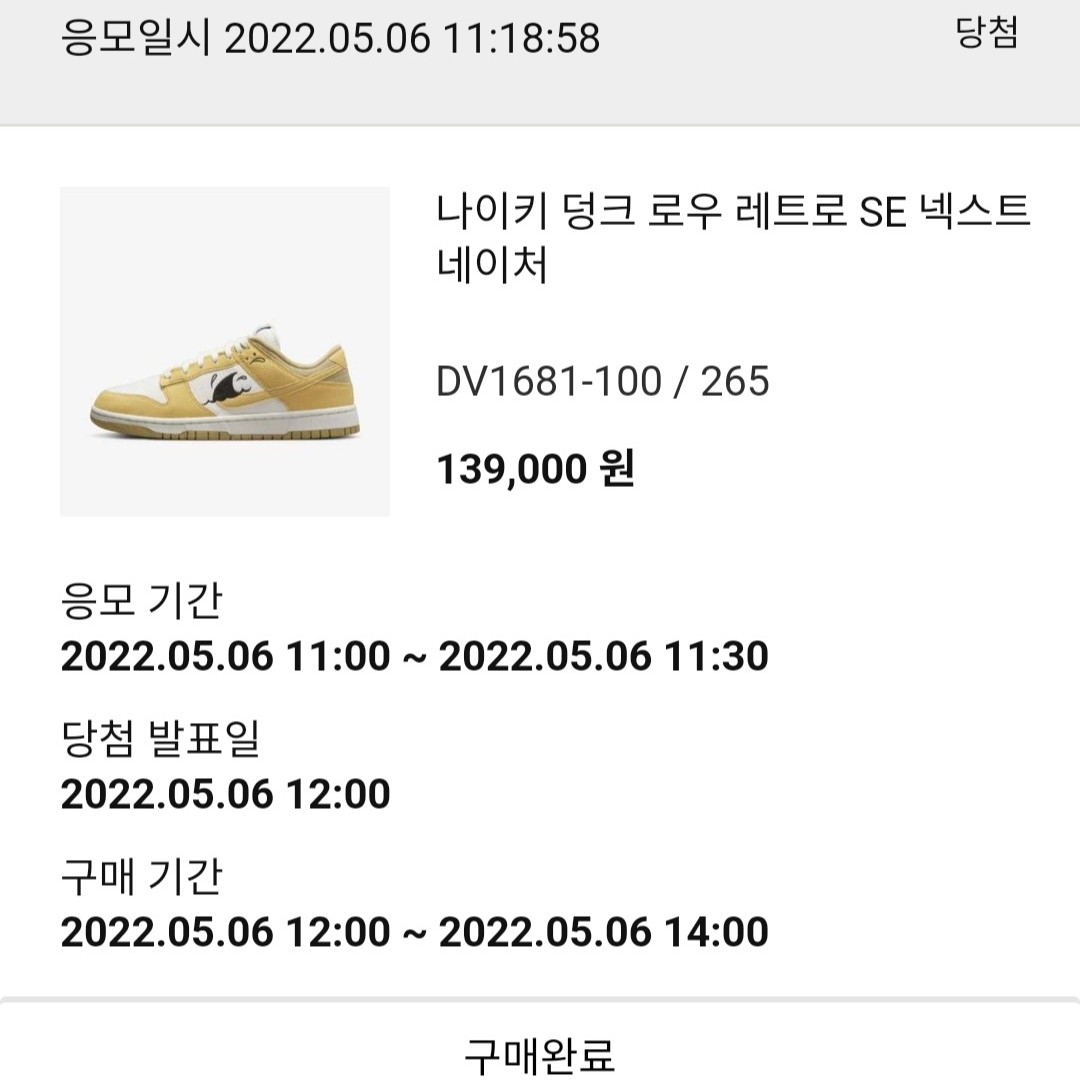 Nike Dunk Low Retro SE Next Nature Nike Sun Club 착용 스타일