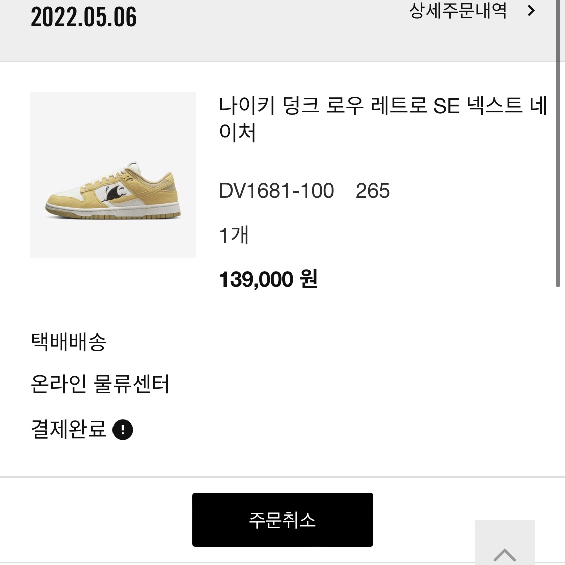 Nike Dunk Low Retro SE Next Nature Nike Sun Club 착용 스타일
