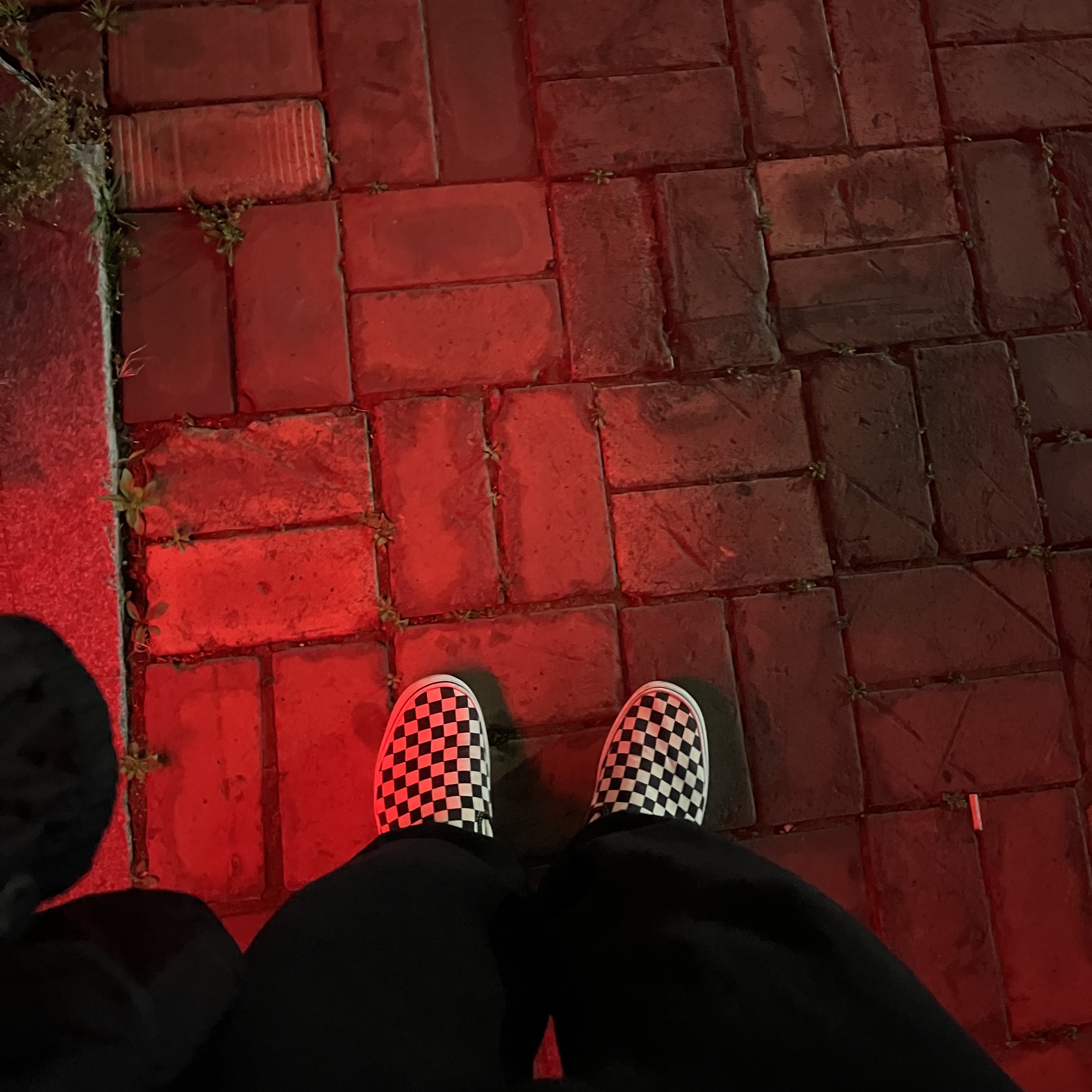 Vans Slip-On Checkerboard 착용 스타일