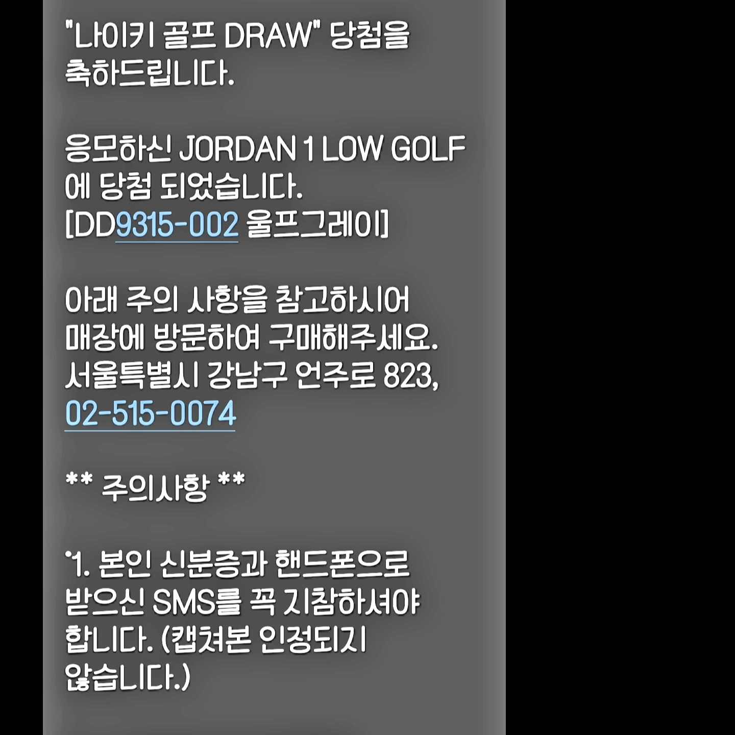 Jordan 1 Low Golf Wolf Grey 착용 스타일 - 2