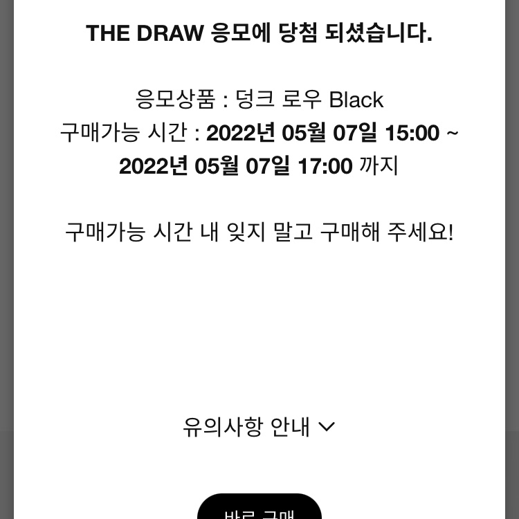 Nike Dunk Low Retro Black 착용 스타일