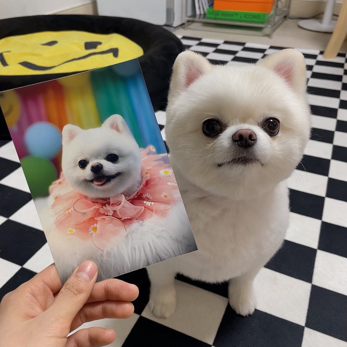 똘빡이님의 스타일