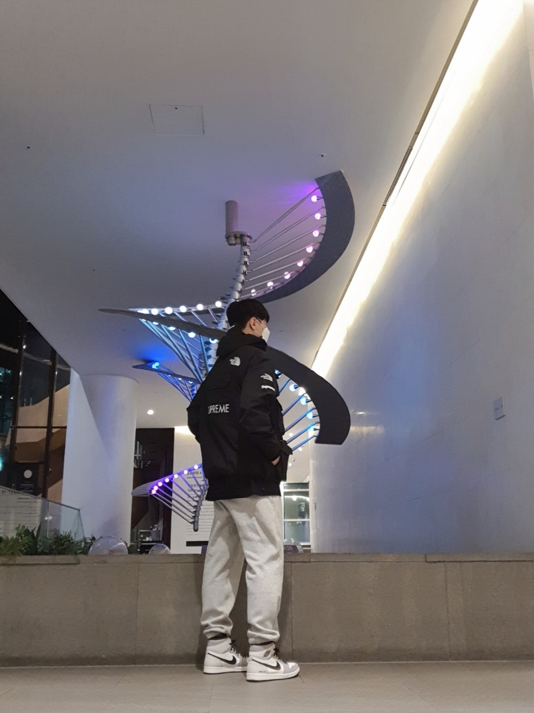 Supreme x The North Face Cargo Jacket Black - 20SS, Jordan 1 Element Gore-Tex Sail 착용 스타일 - 5