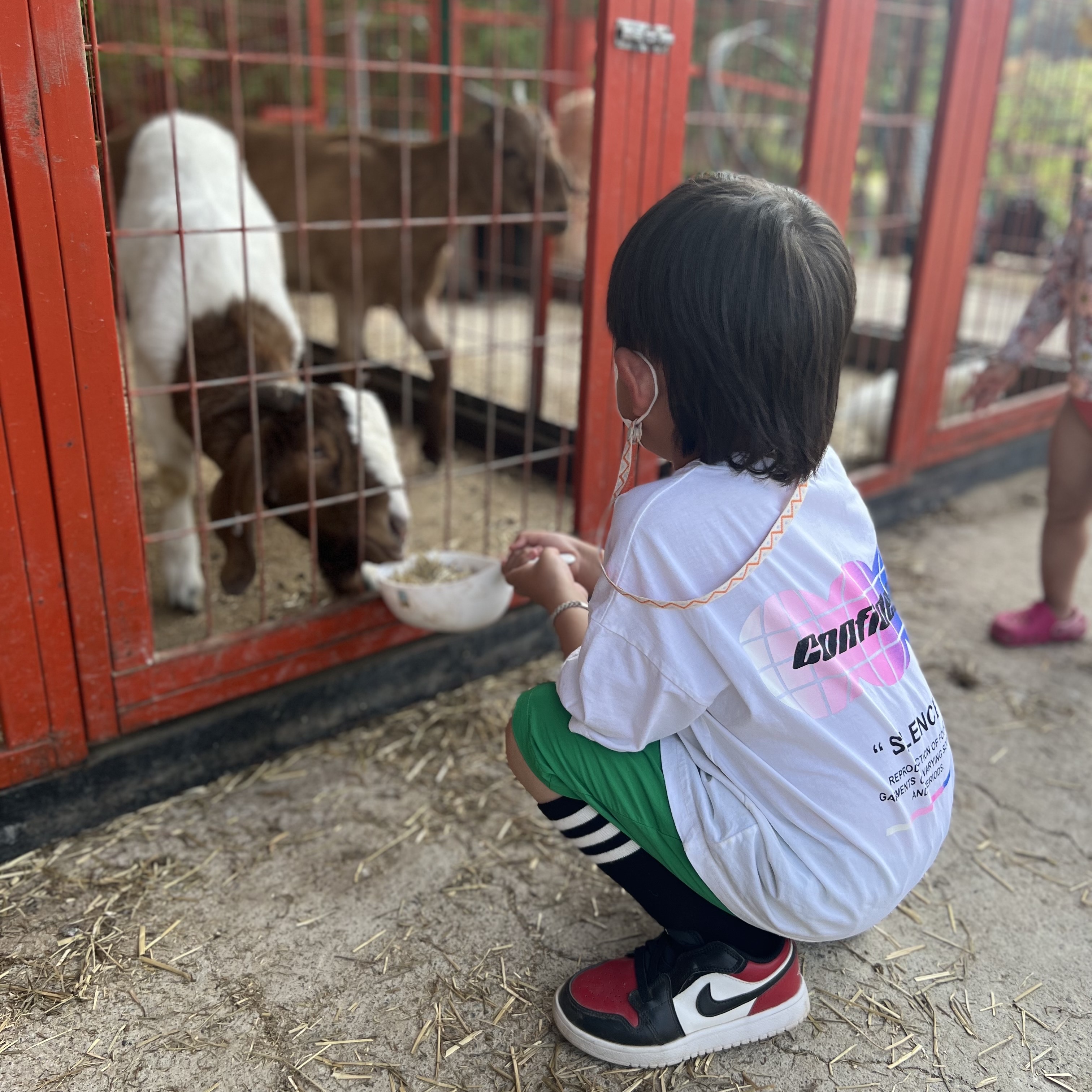 (PS) Jordan 1 Low Alt Bred Toe 착용 스타일 - 4