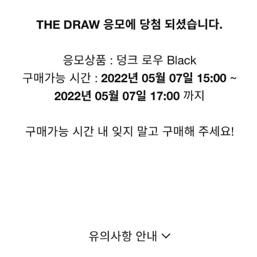 Nike Dunk Low Retro Black 착용 스타일