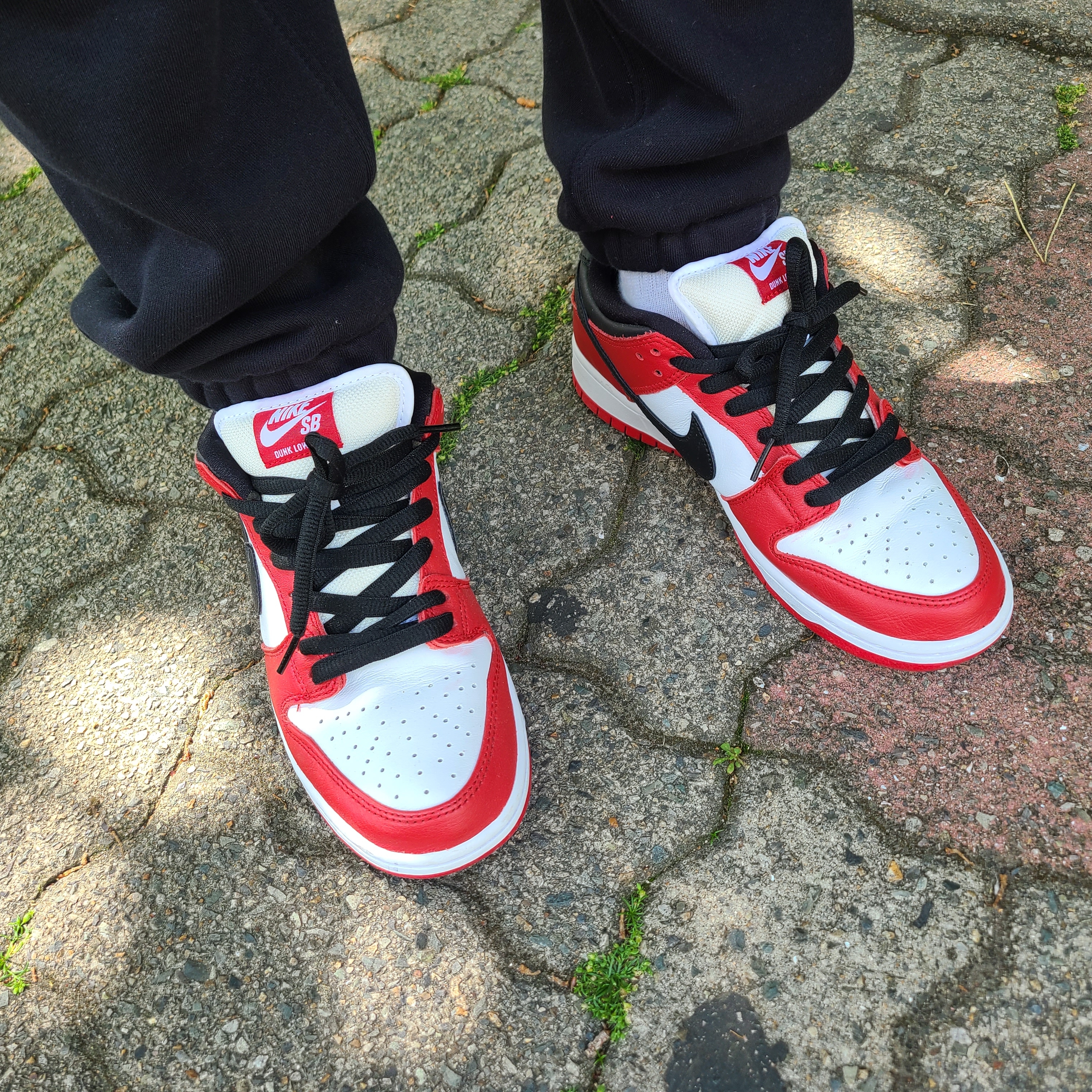 Nike SB Dunk Low Pro Chicago 착용 스타일