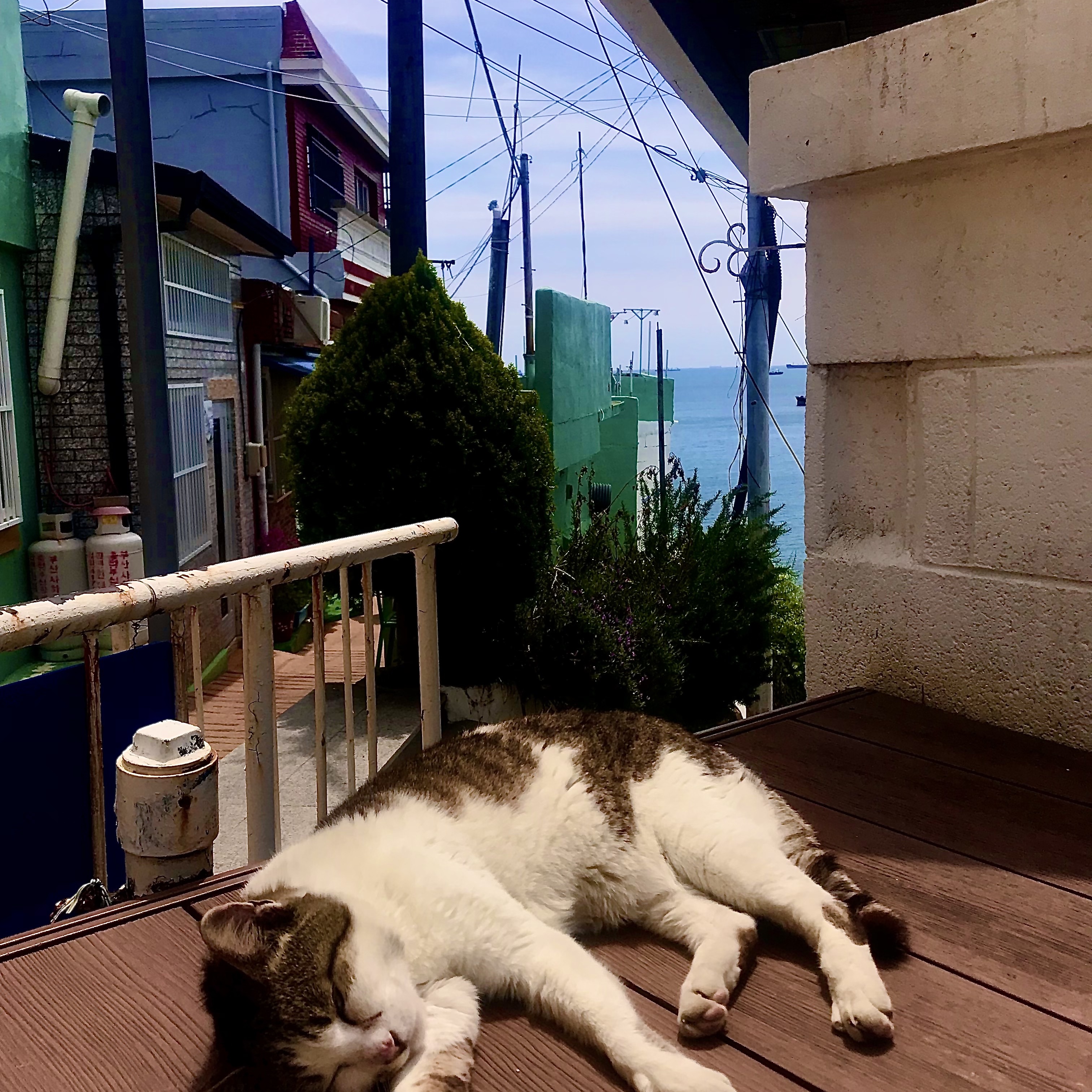 타로님의 스타일 - 3