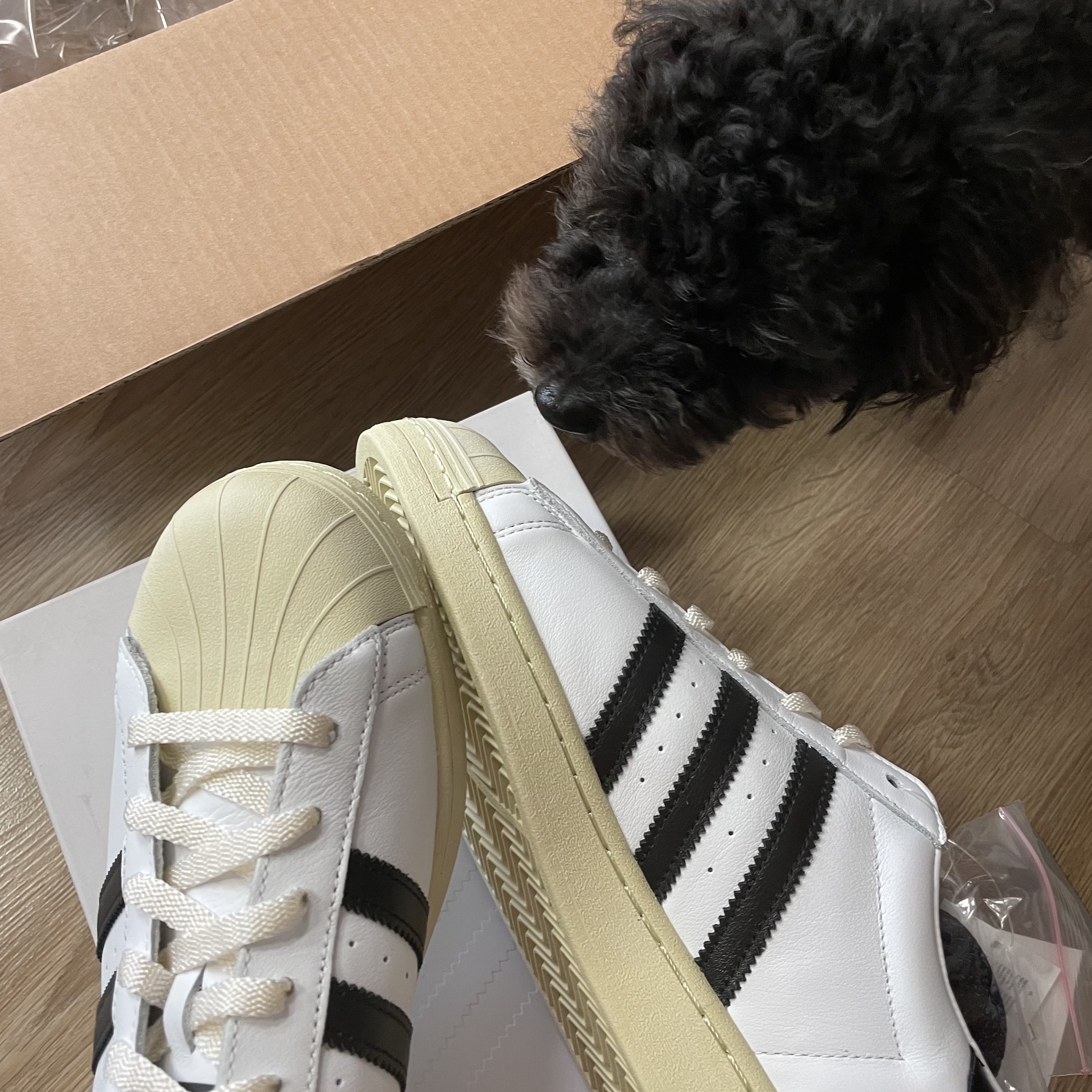 Adidas Superstar Premium White Black 착용 스타일 - 2