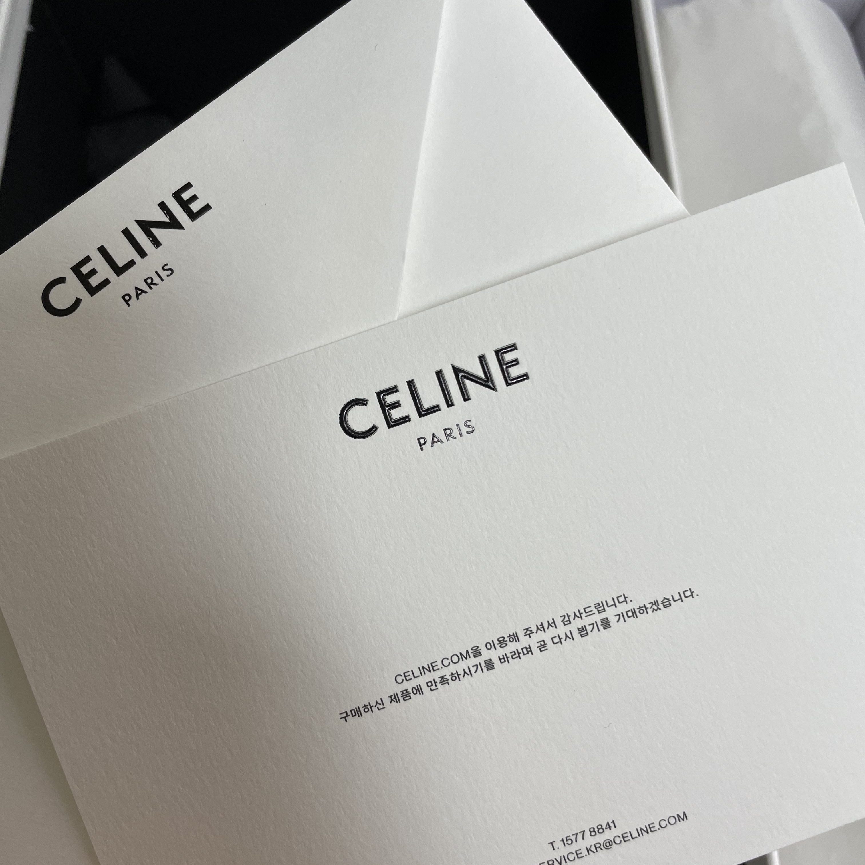 Celine Mini Besace in Triomphe Canvas and Calfskin Tan 착용 스타일 - 2
