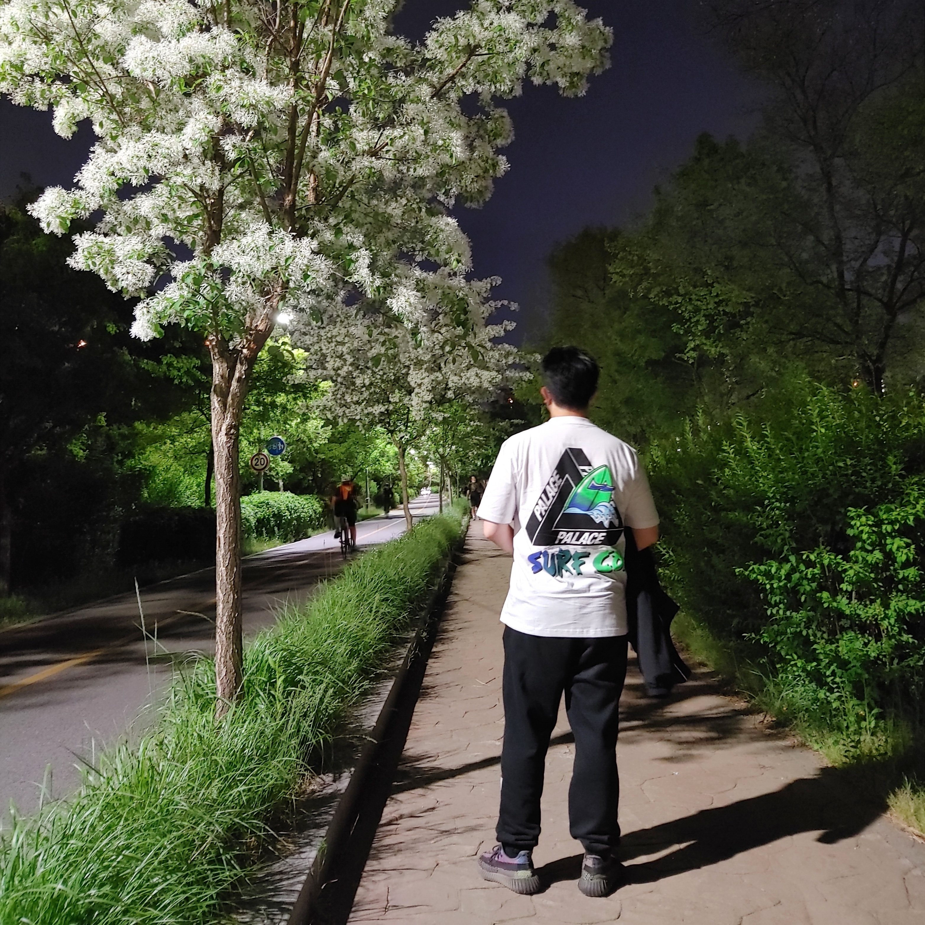 Palace Tri-Surf Co T-Shirt White - 22SS, Adidas Yeezy Boost 350 V2 Yecheil - Non-Reflective 착용 스타일