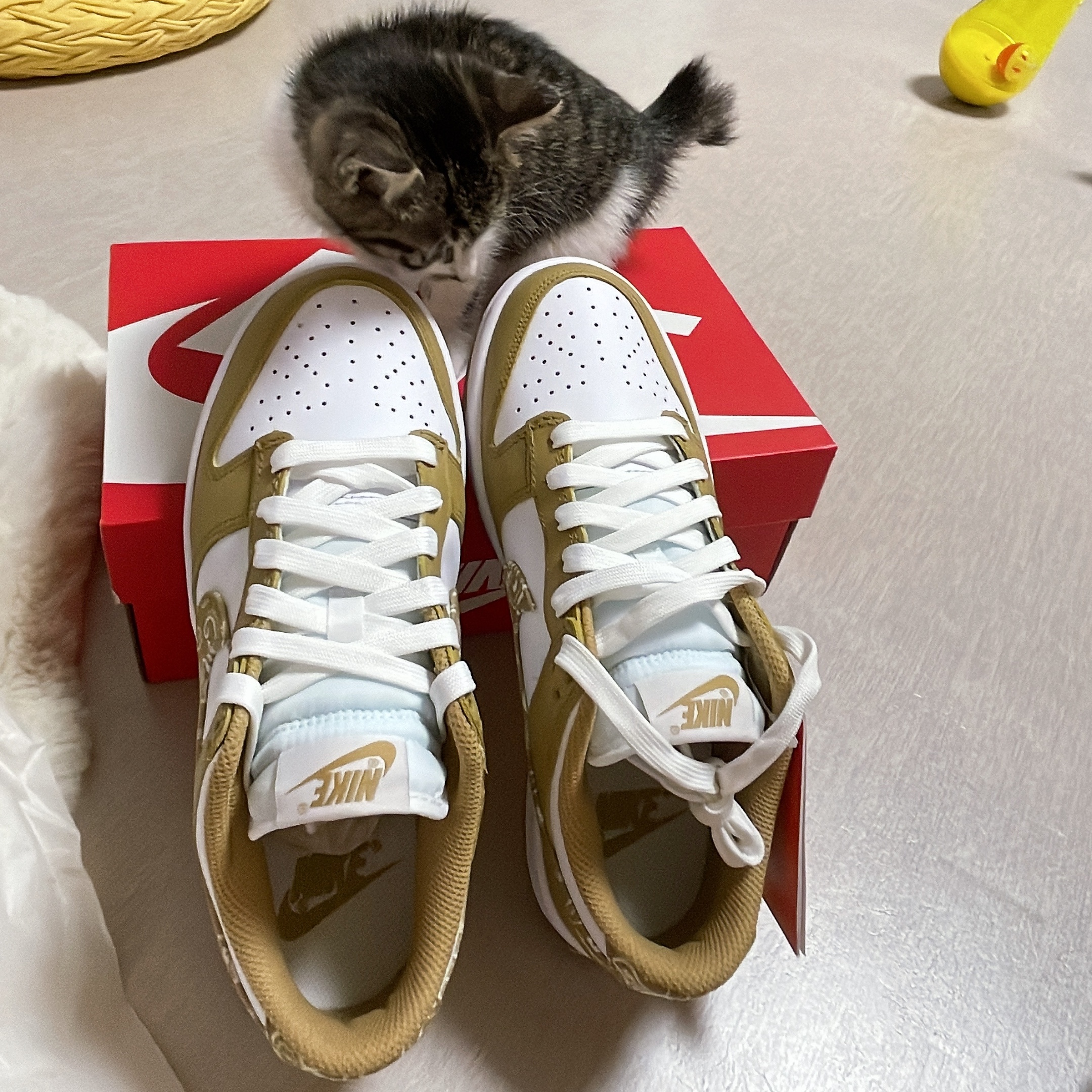(W) Nike Dunk Low Essential Barley Paisley 착용 스타일