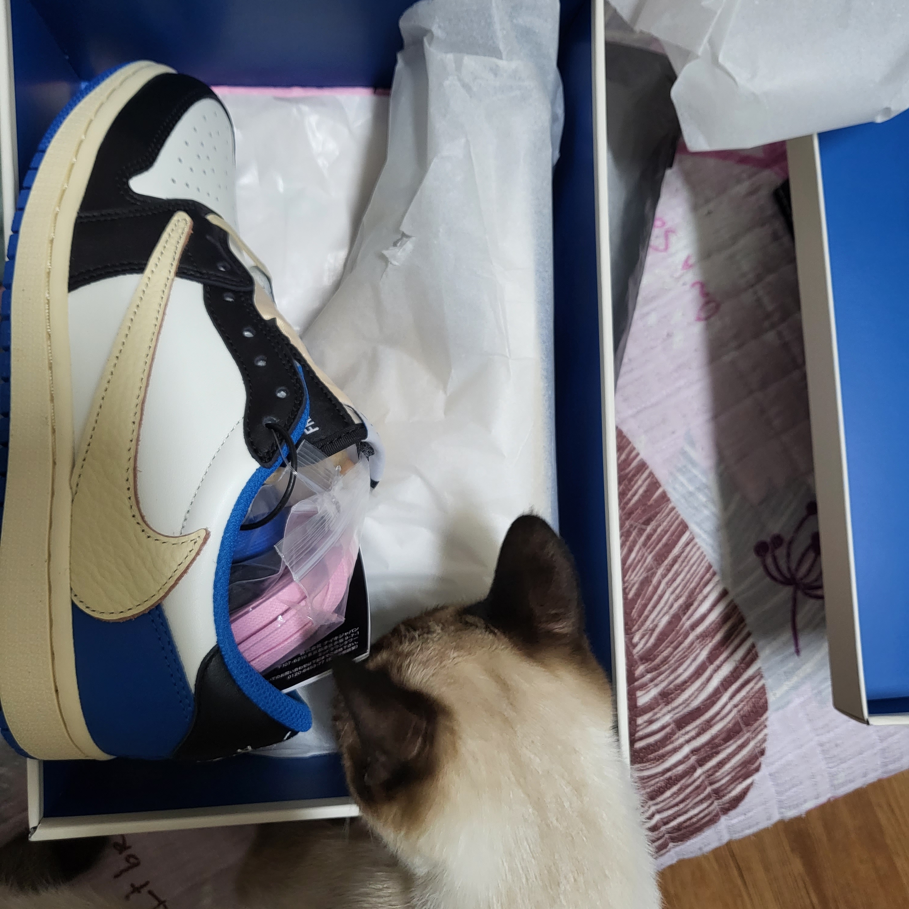 Jordan 1 x Travis Scott x Fragment Retro Low OG SP Military Blue 착용 스타일 - 5
