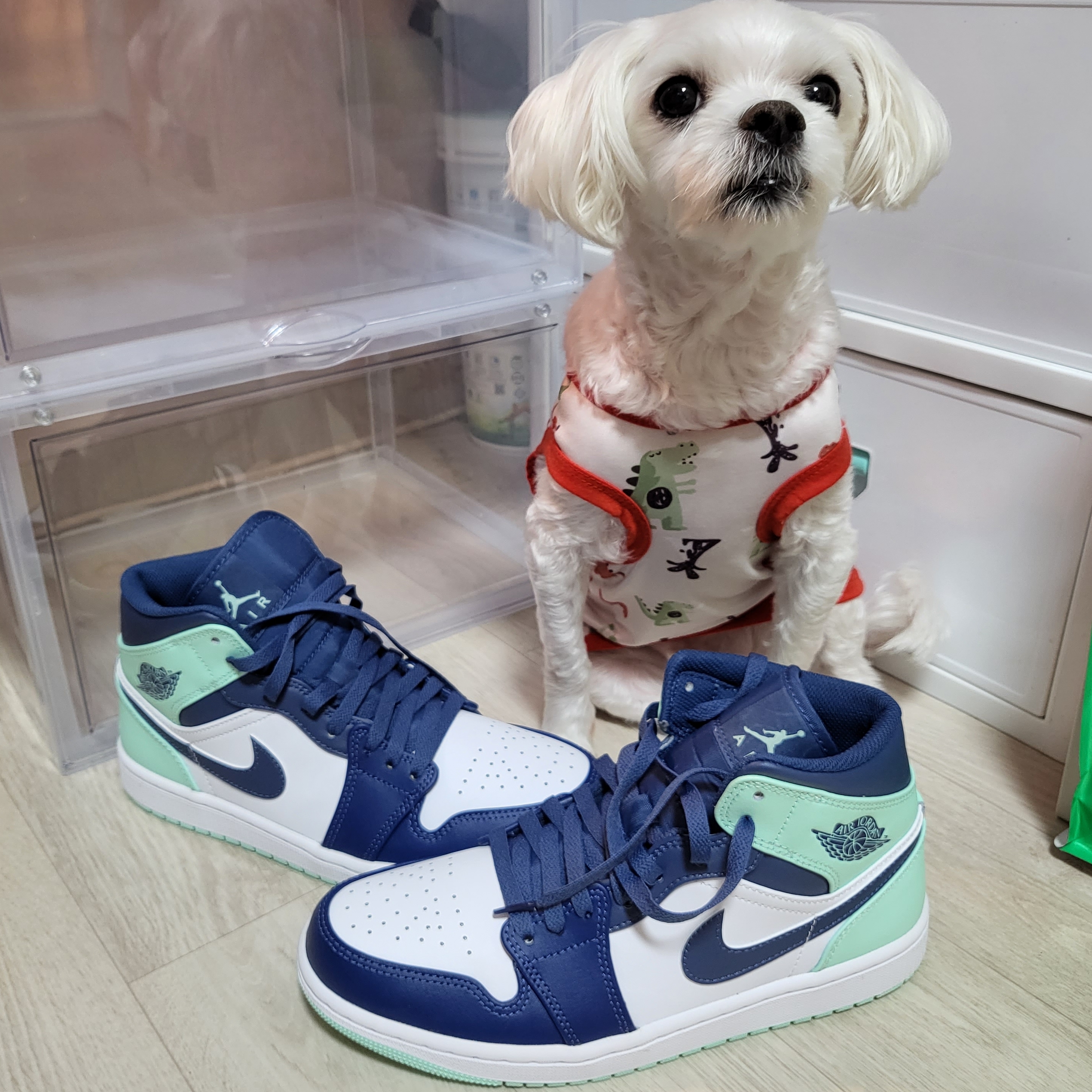 Jordan 1 Mid Blue Mint 착용 스타일