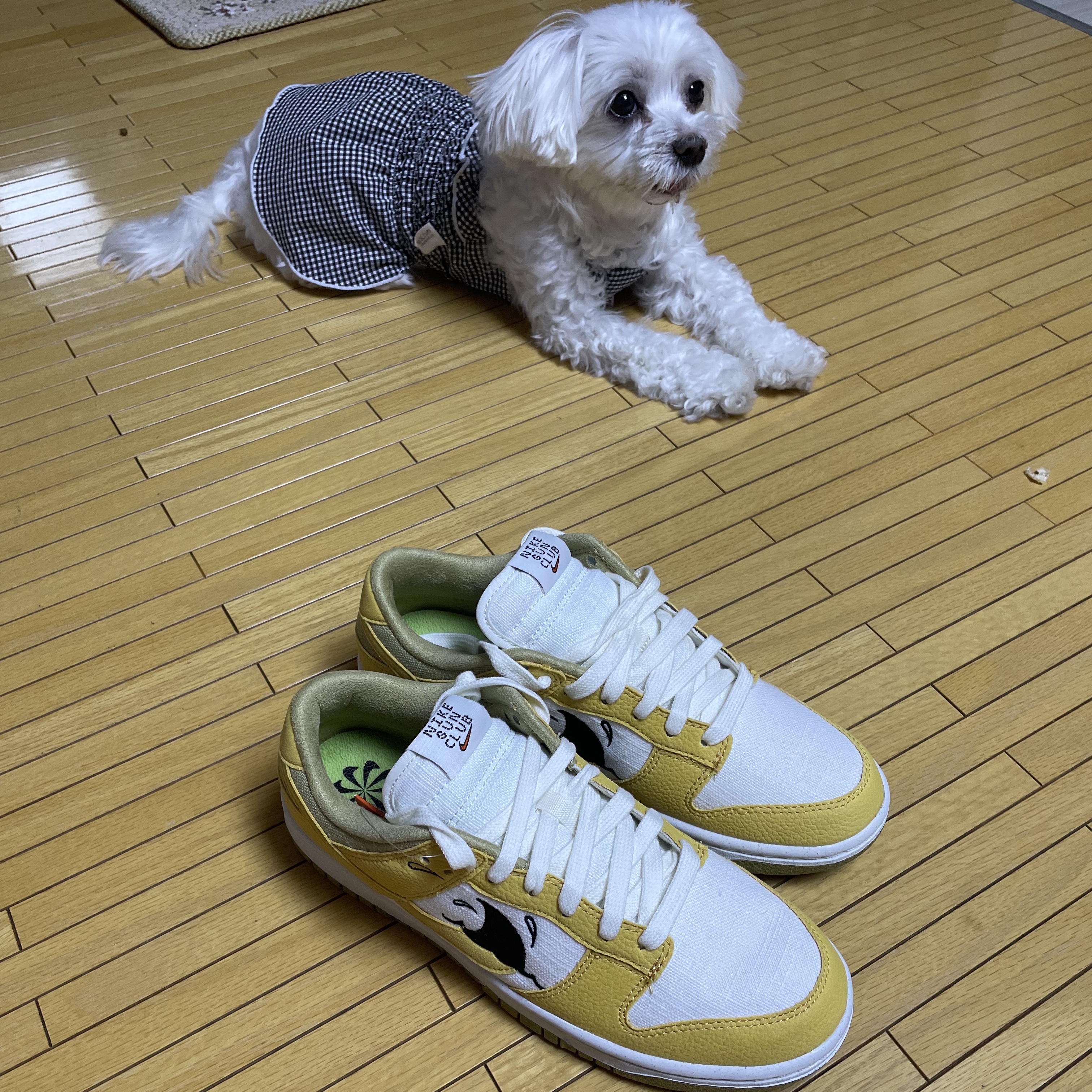 Nike Dunk Low Retro SE Next Nature Nike Sun Club 착용 스타일 - 2