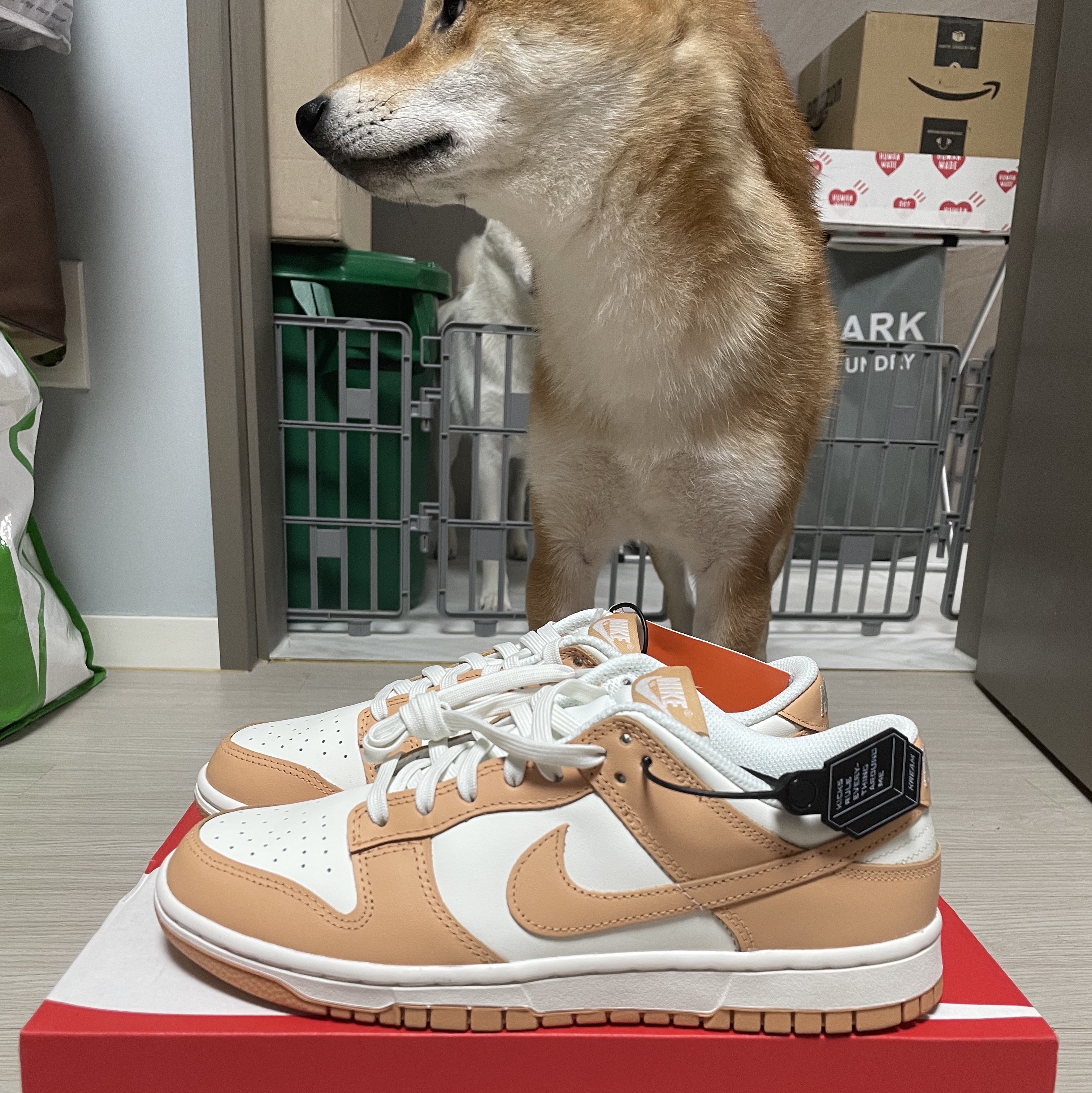 (W) Nike Dunk Low Harvest Moon 착용 스타일
