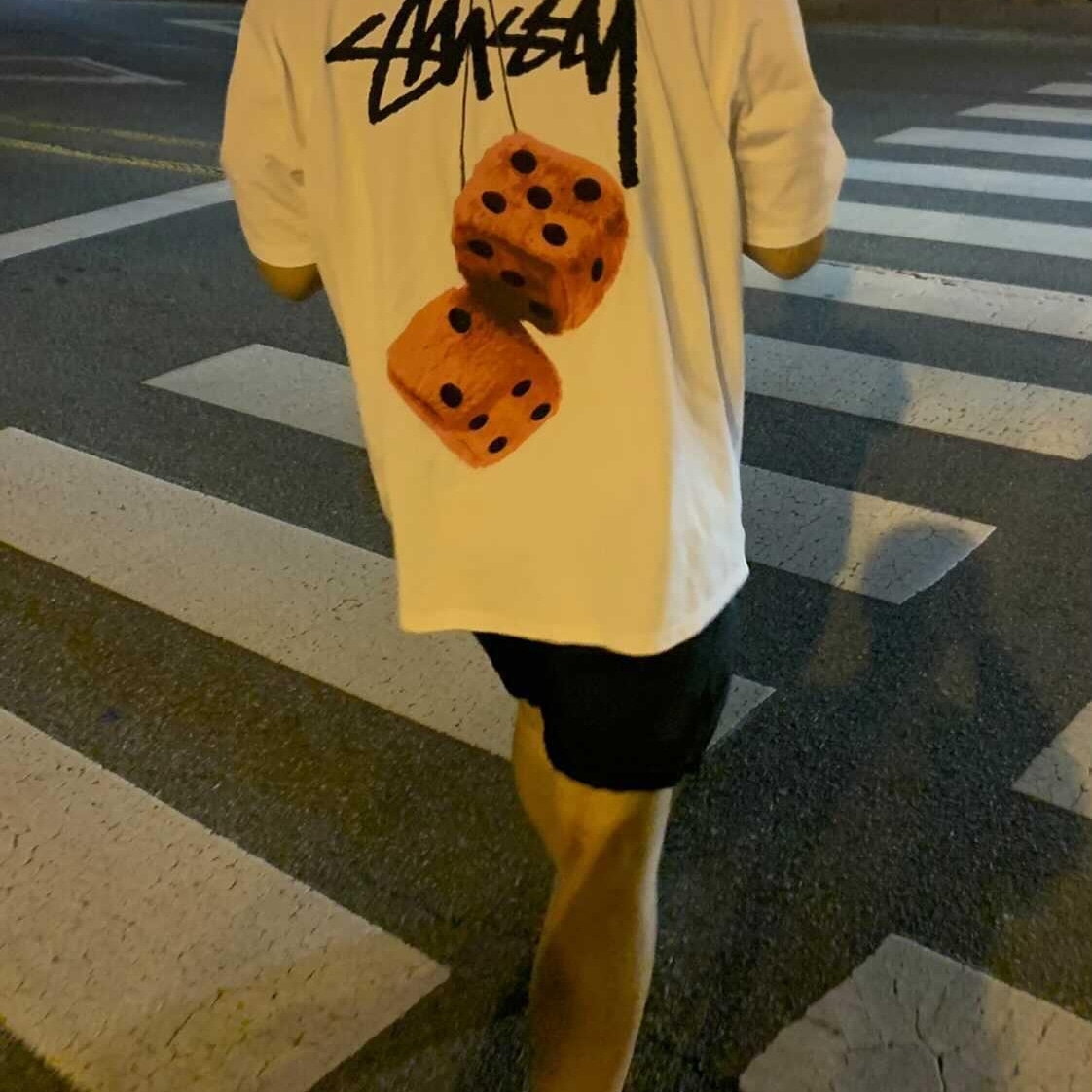 Stussy Fuzzy Dice T-Shirt White 착용 스타일