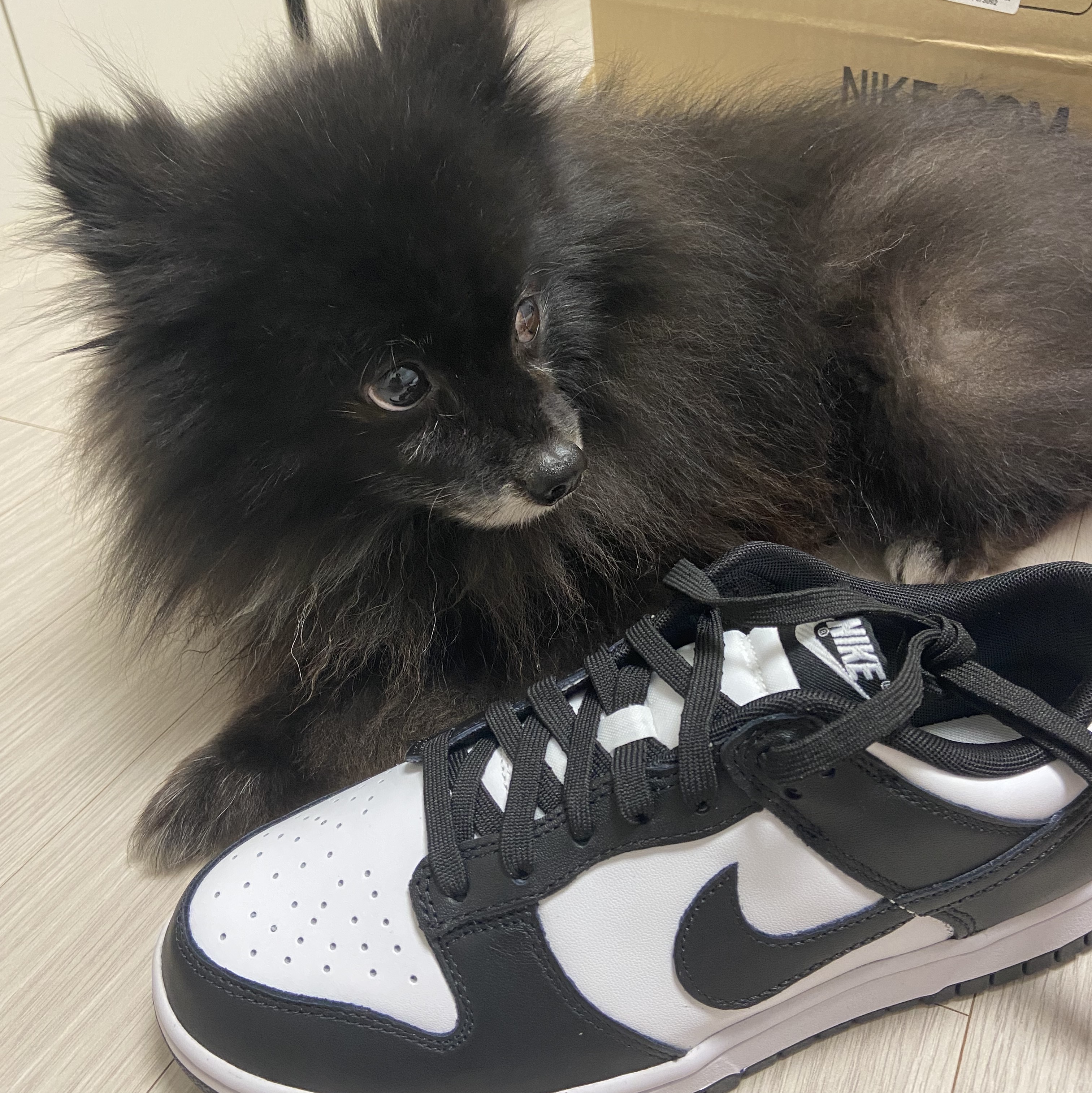 Nike Dunk Low Retro Black 착용 스타일 - 1