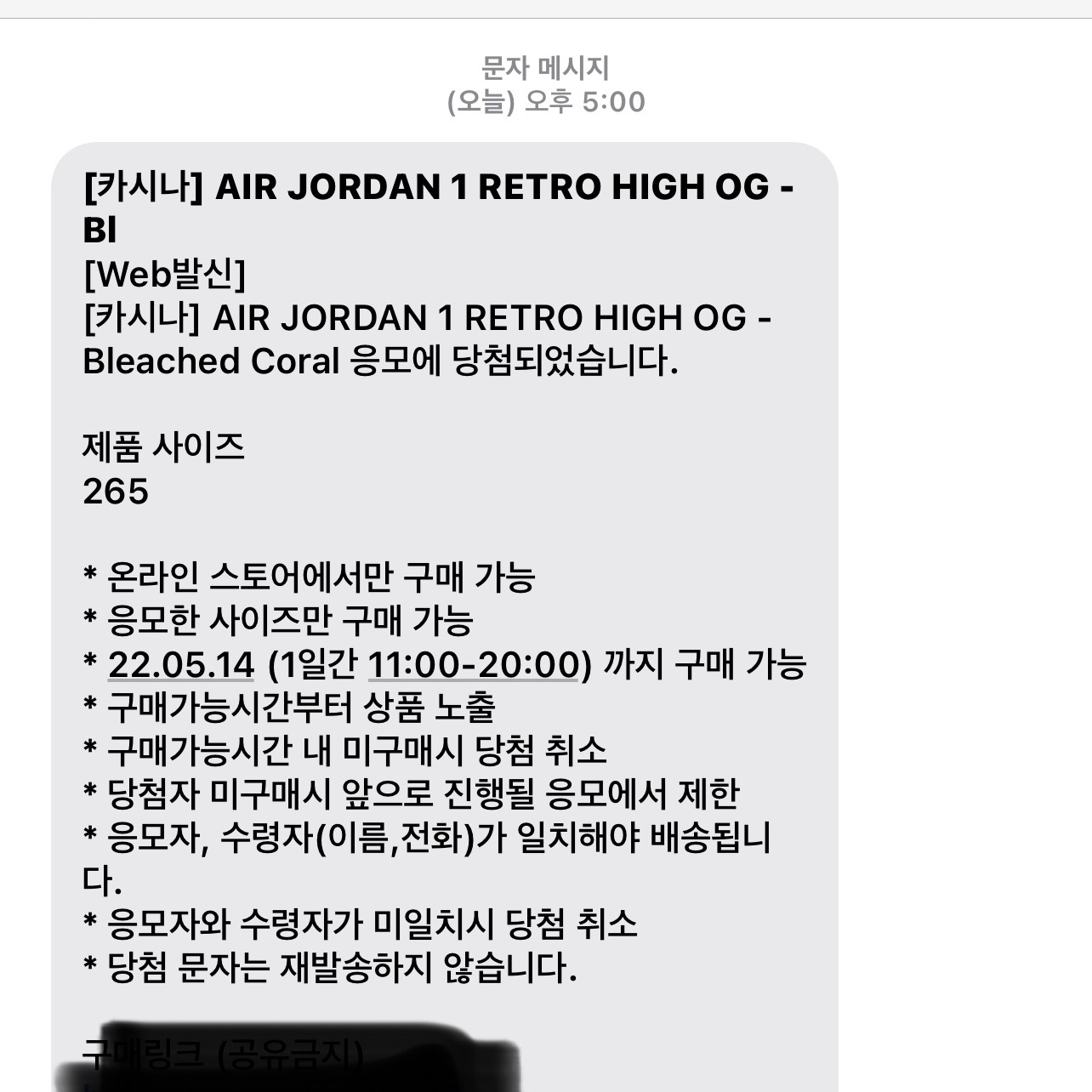 Jordan 1 Retro High OG Bleached Coral 착용 스타일