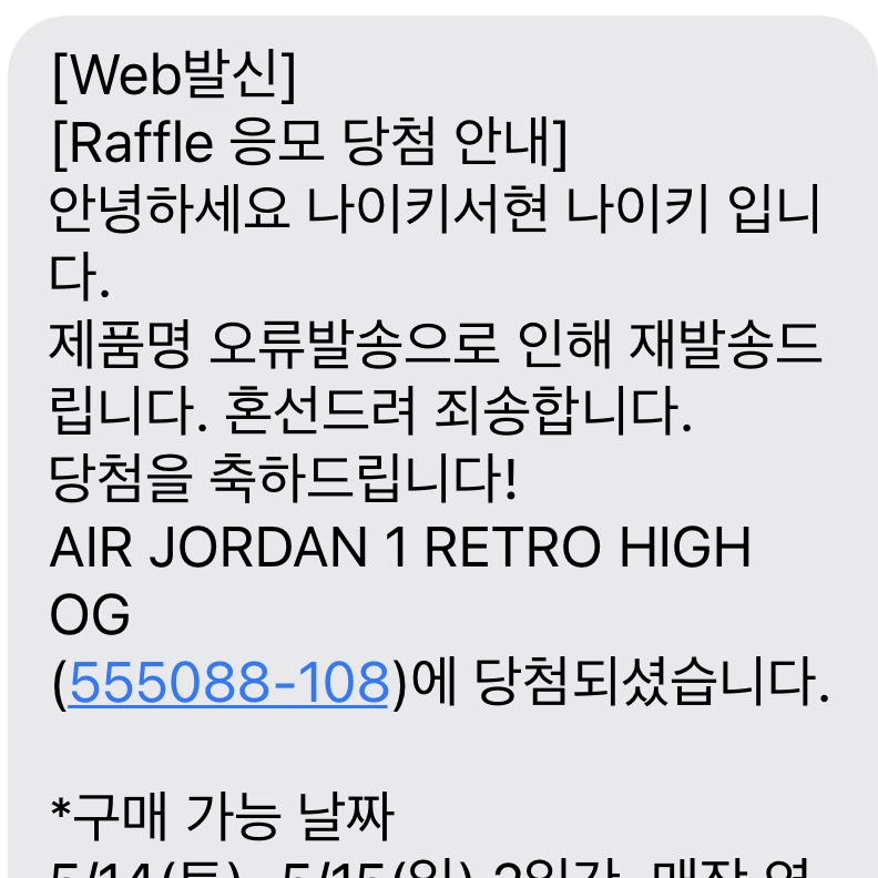 Jordan 1 Retro High OG Bleached Coral 착용 스타일