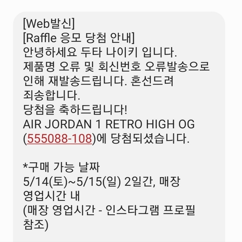 Jordan 1 Retro High OG Bleached Coral 착용 스타일