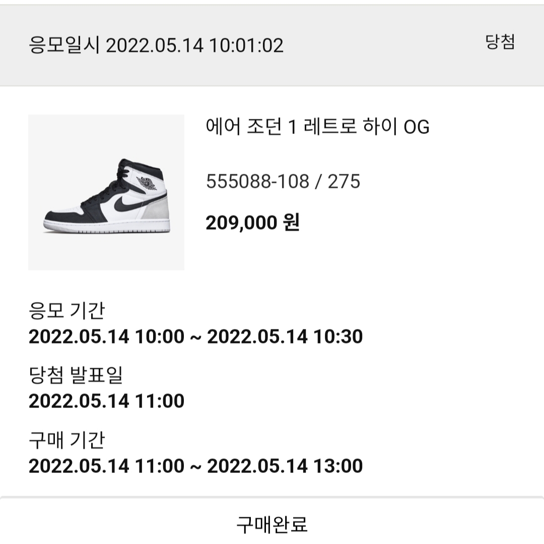 Jordan 1 Retro High OG Bleached Coral 착용 스타일