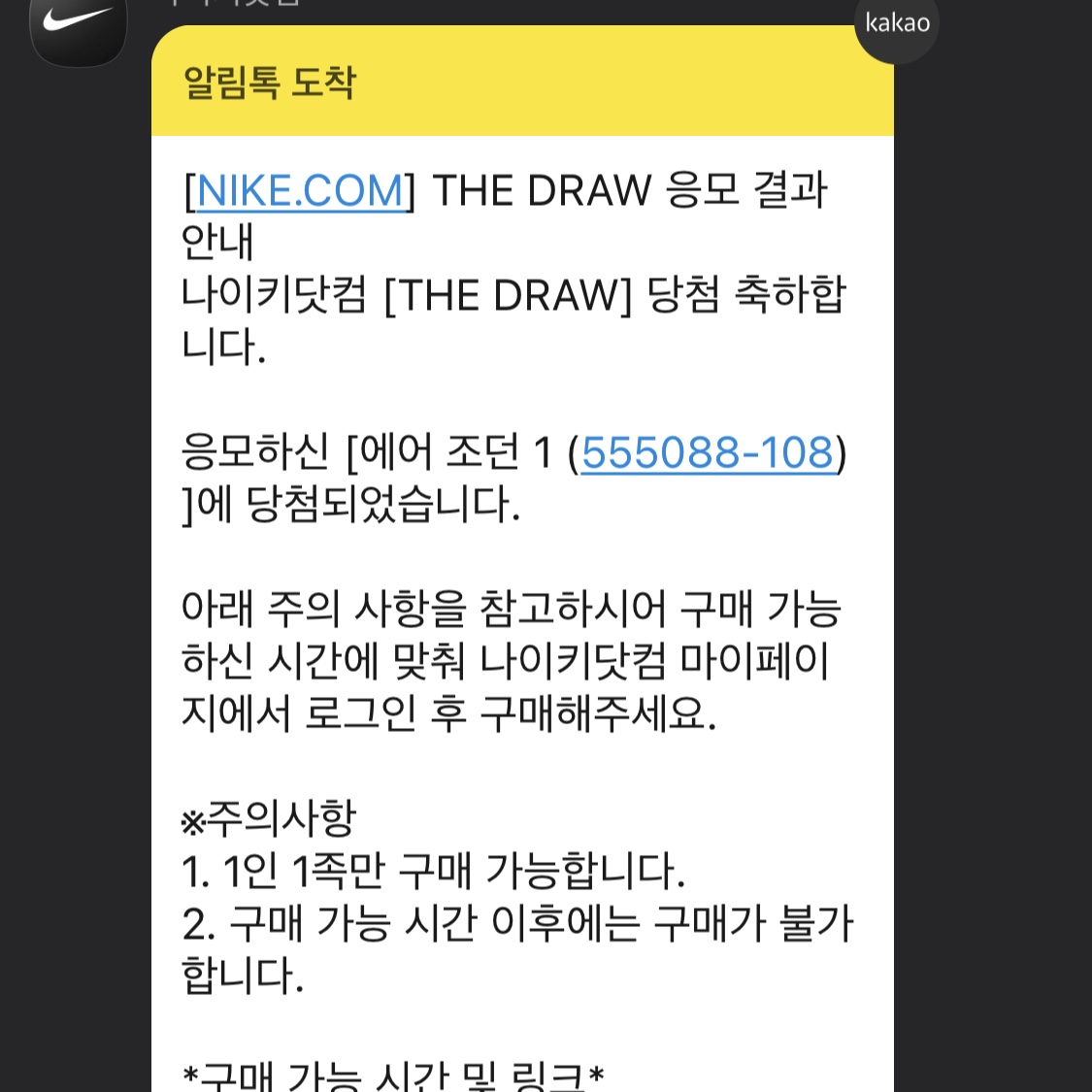 Jordan 1 Retro High OG Bleached Coral 착용 스타일