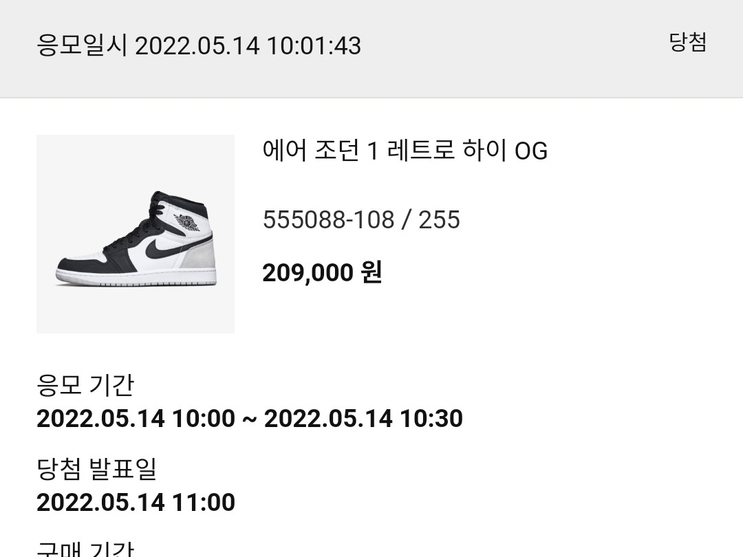 Jordan 1 Retro High OG Bleached Coral 착용 스타일
