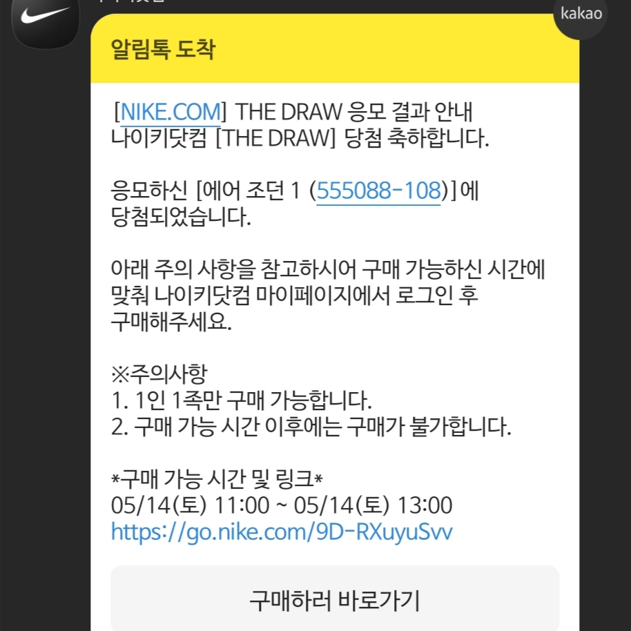 Jordan 1 Retro High OG Bleached Coral 착용 스타일