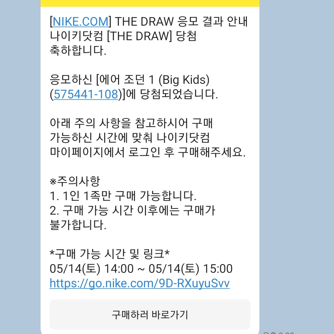 (GS) Jordan 1 Retro High OG Bleached Coral 착용 스타일
