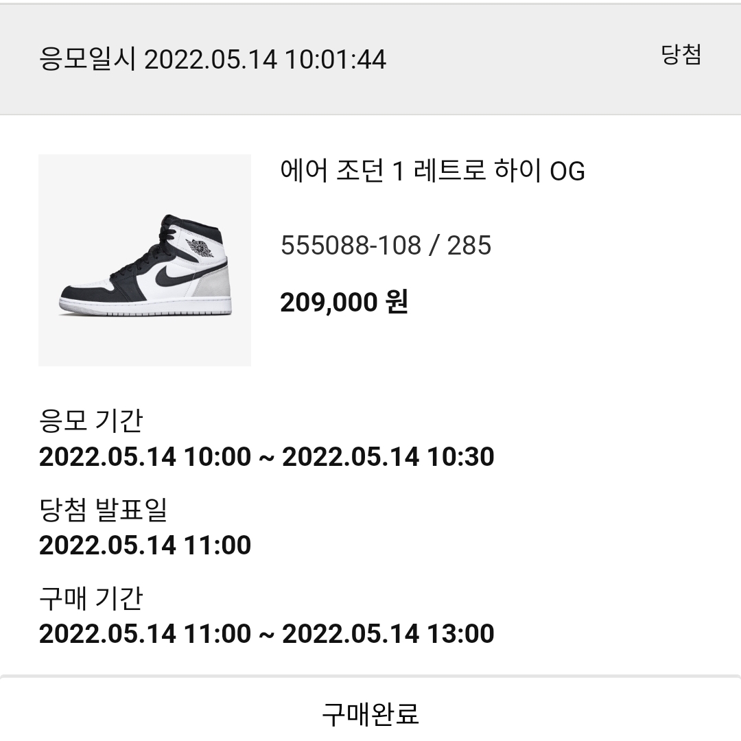 Jordan 1 Retro High OG Bleached Coral 착용 스타일