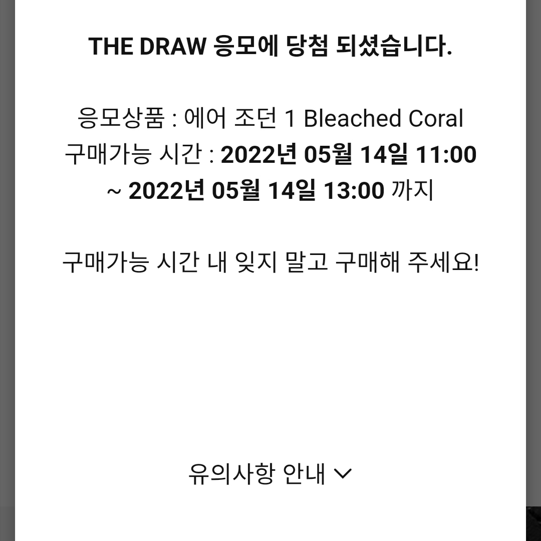 Jordan 1 Retro High OG Bleached Coral 착용 스타일