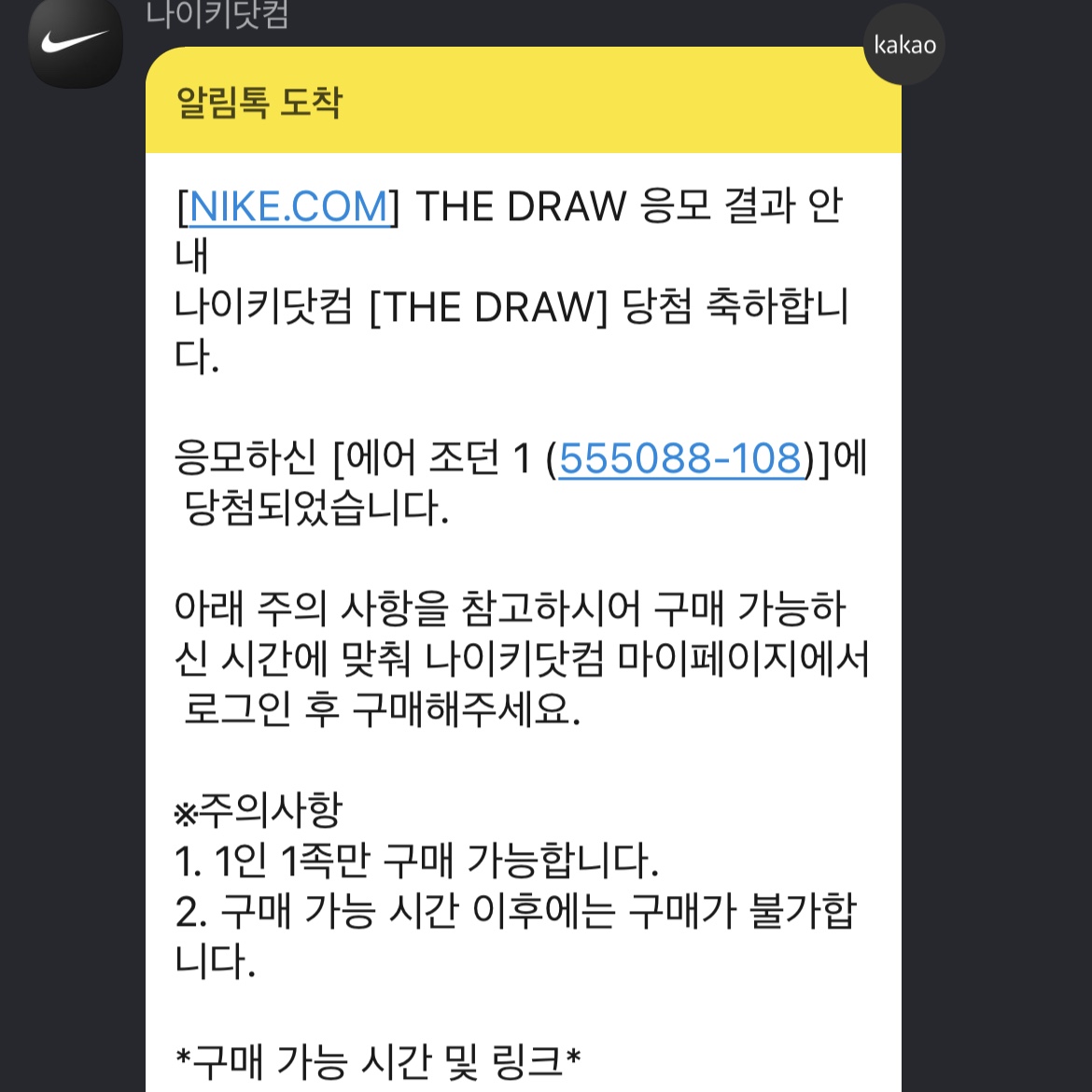 Jordan 1 Retro High OG Bleached Coral 착용 스타일