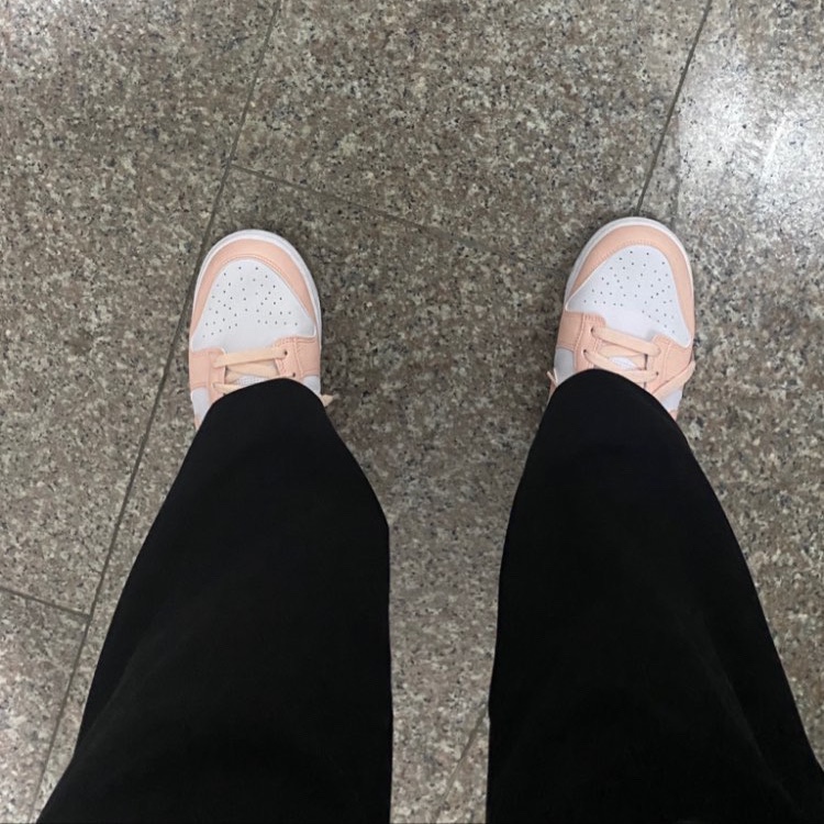 (W) Nike Dunk Low Next Nature Pale Coral 착용 스타일