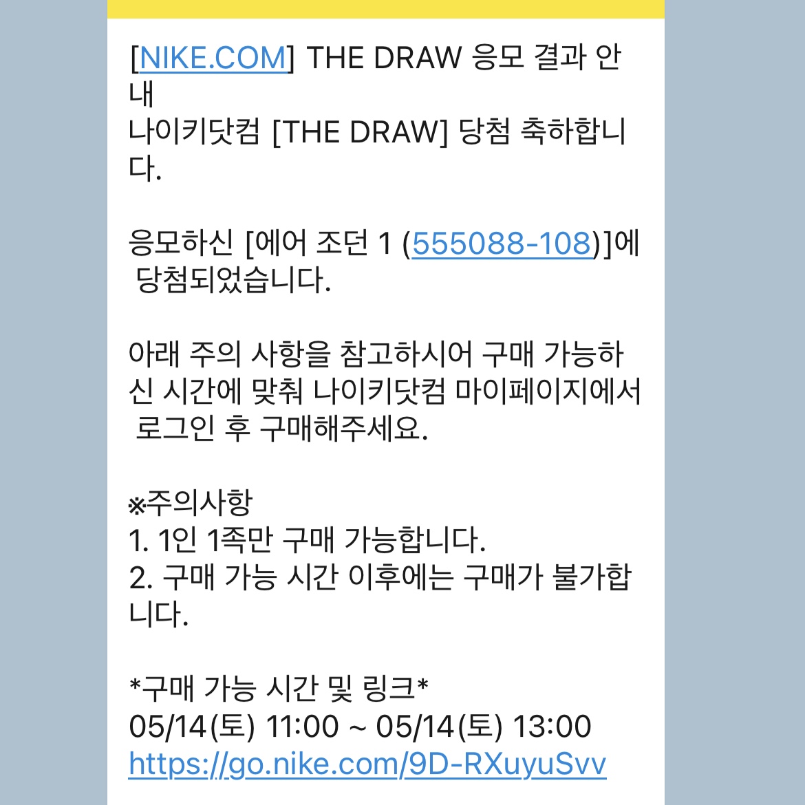 Jordan 1 Retro High OG Bleached Coral 착용 스타일