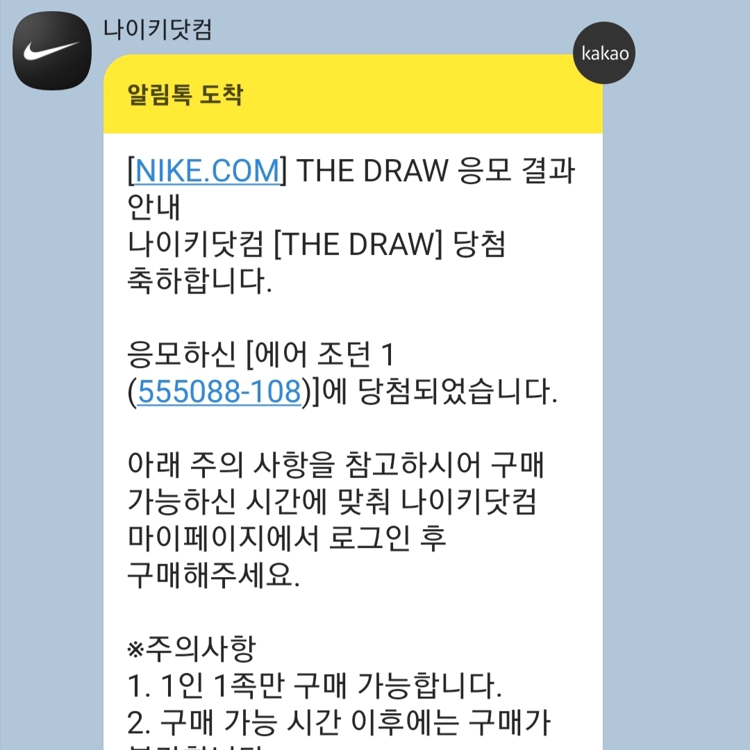 Jordan 1 Retro High OG Bleached Coral 착용 스타일