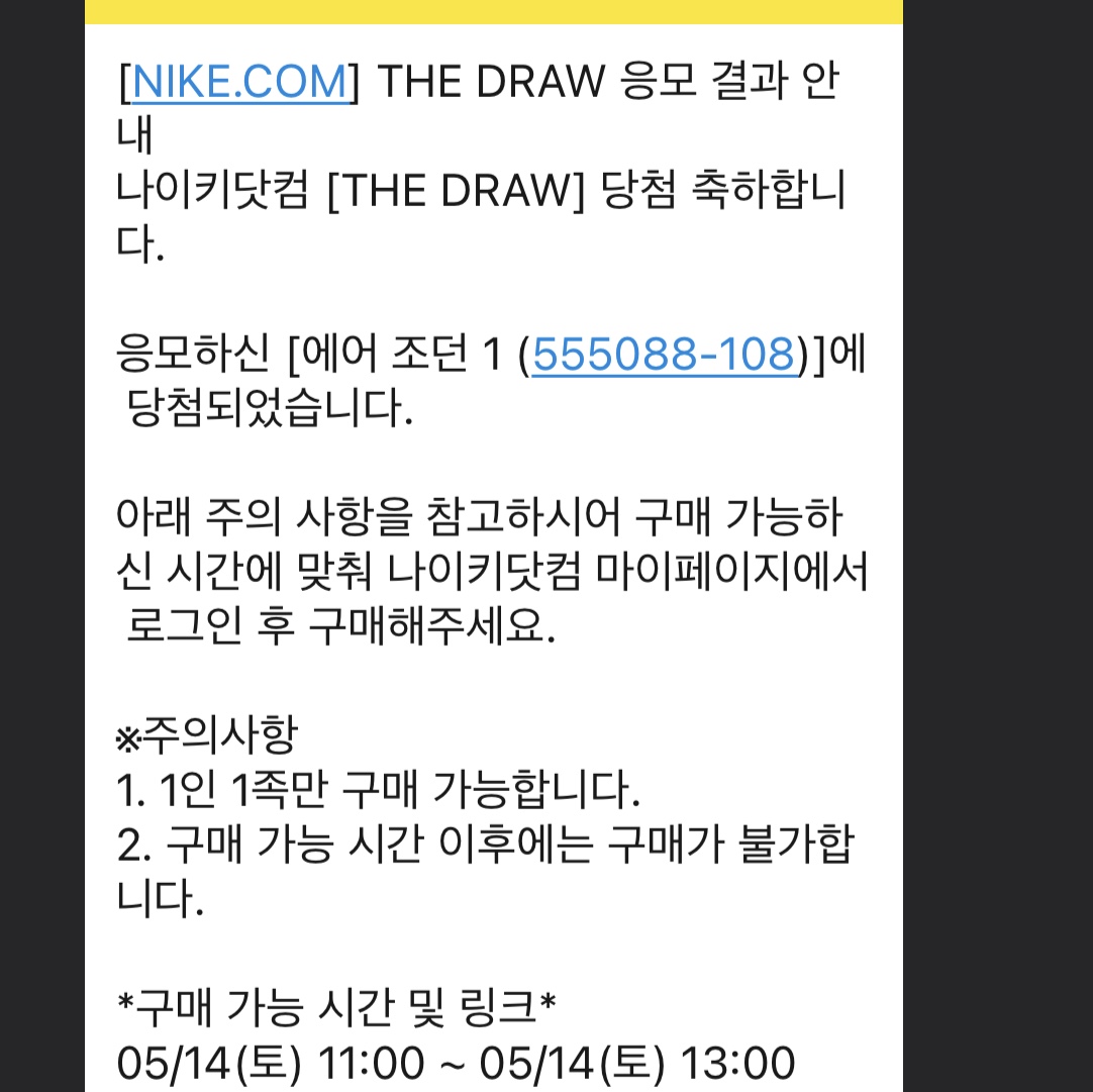 Jordan 1 Retro High OG Bleached Coral 착용 스타일