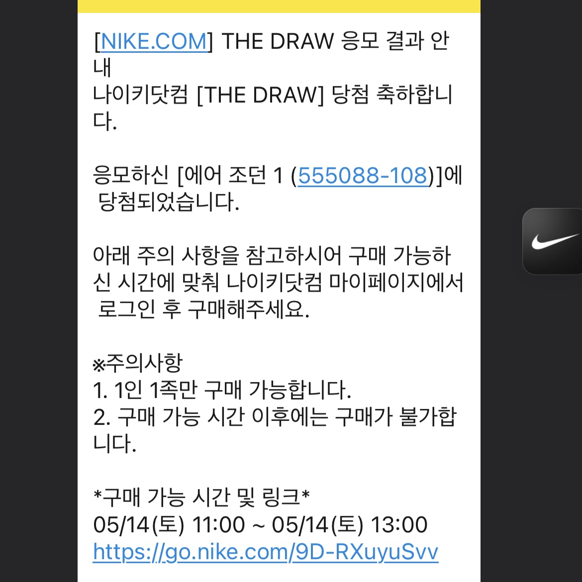 Jordan 1 Retro High OG Bleached Coral 착용 스타일