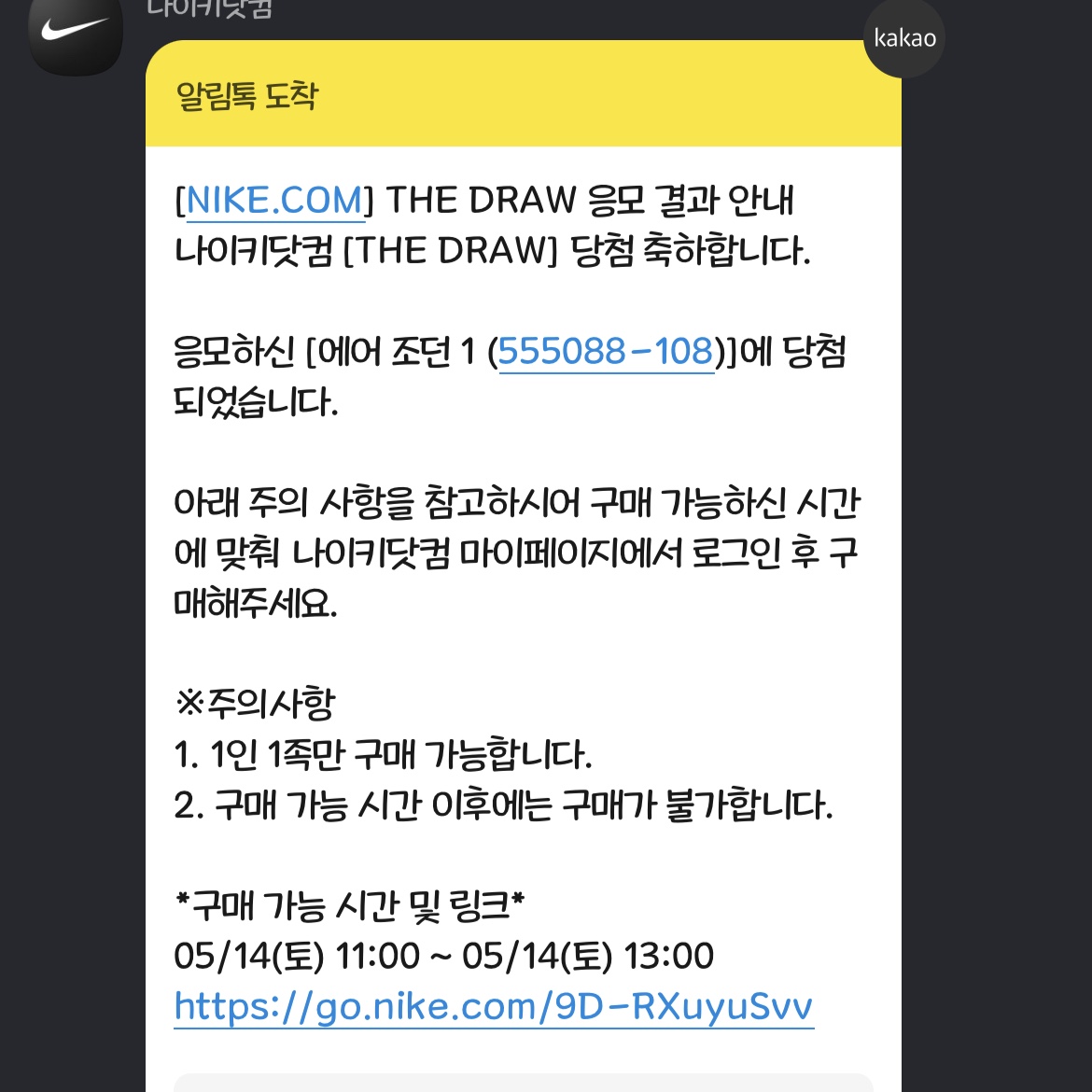 Jordan 1 Retro High OG Bleached Coral 착용 스타일