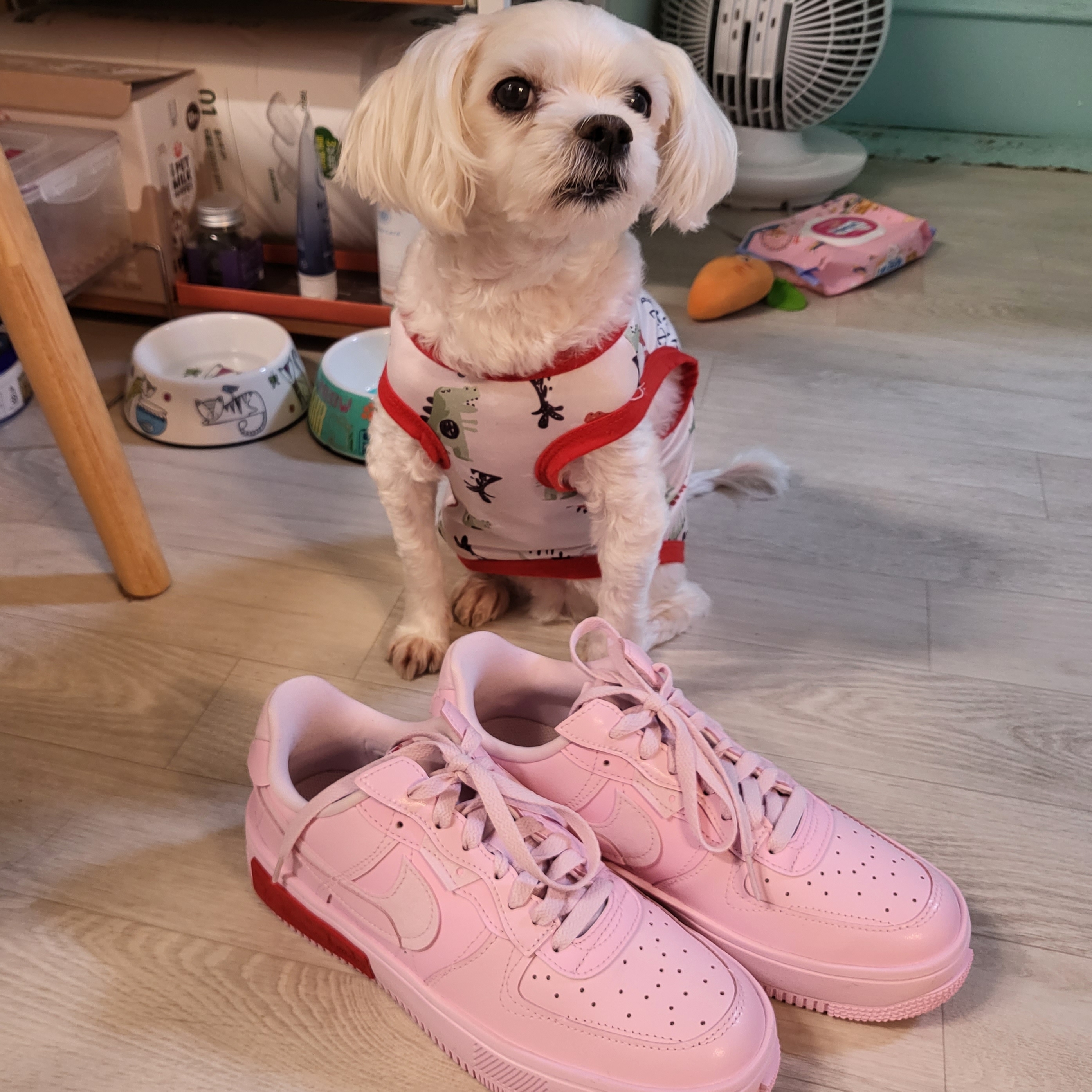 (W) Nike Air Force 1 Fontanka Pink Foam 착용 스타일
