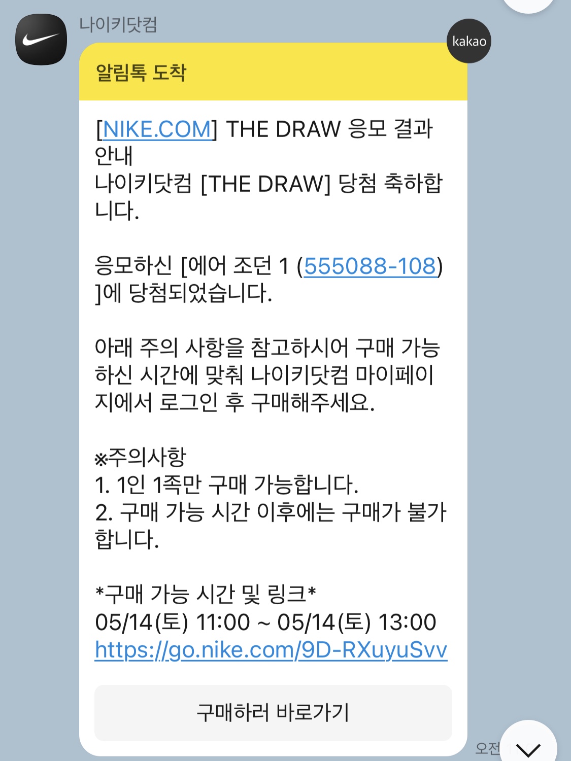 Jordan 1 Retro High OG Bleached Coral 착용 스타일