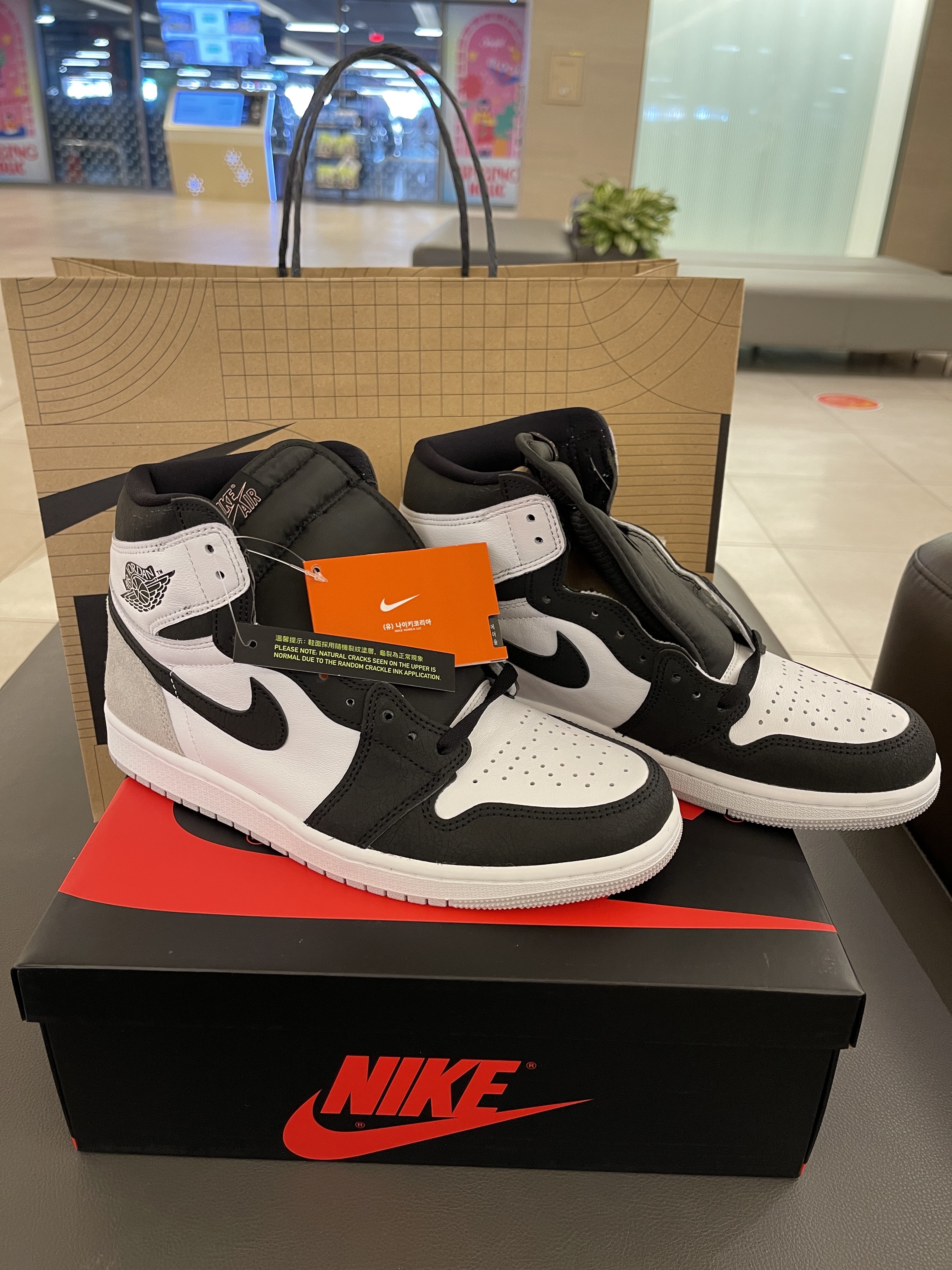 Jordan 1 Retro High OG Bleached Coral 착용 스타일 - 1